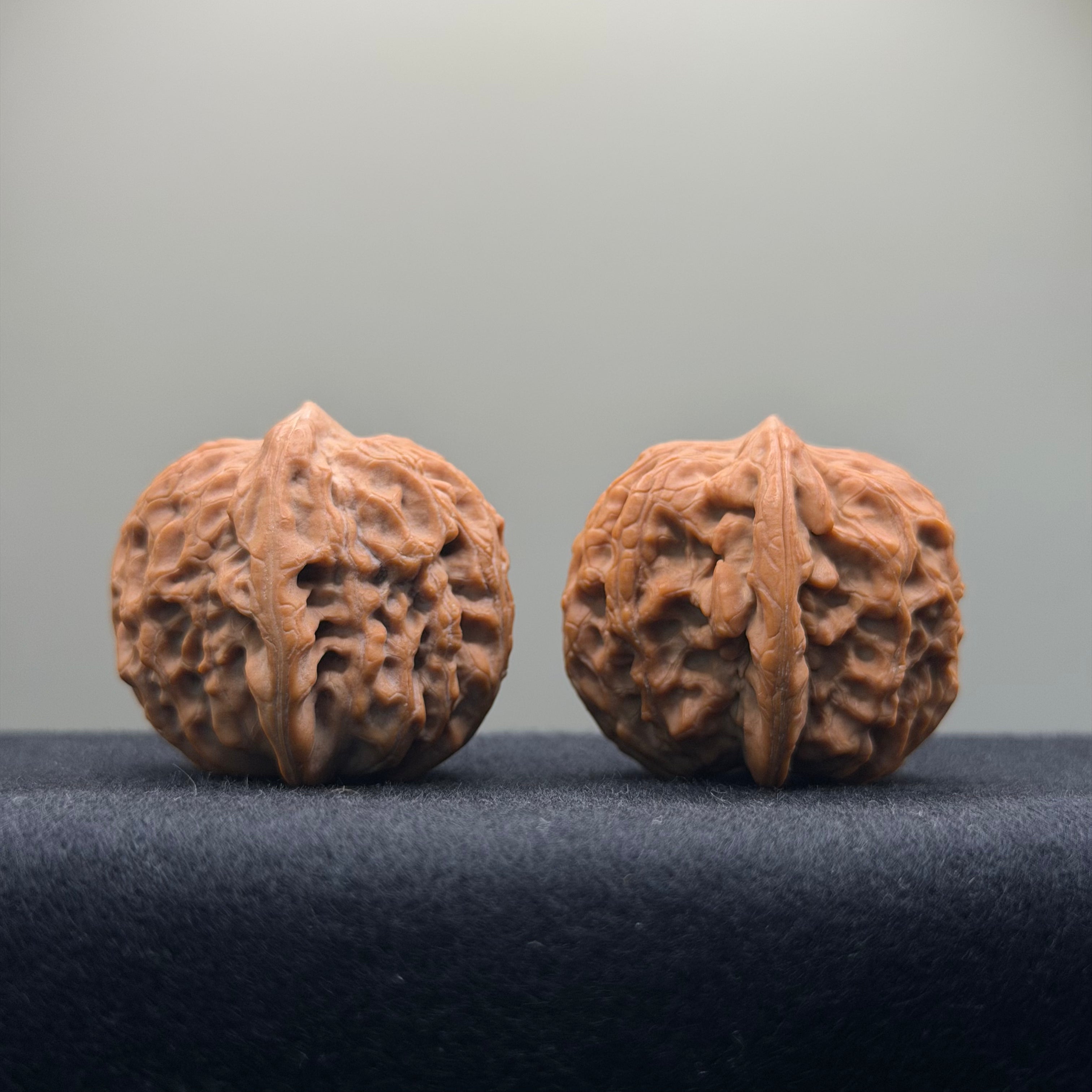 Golf Wenwan Walnut · 37mm · Natural · Entry Ritual