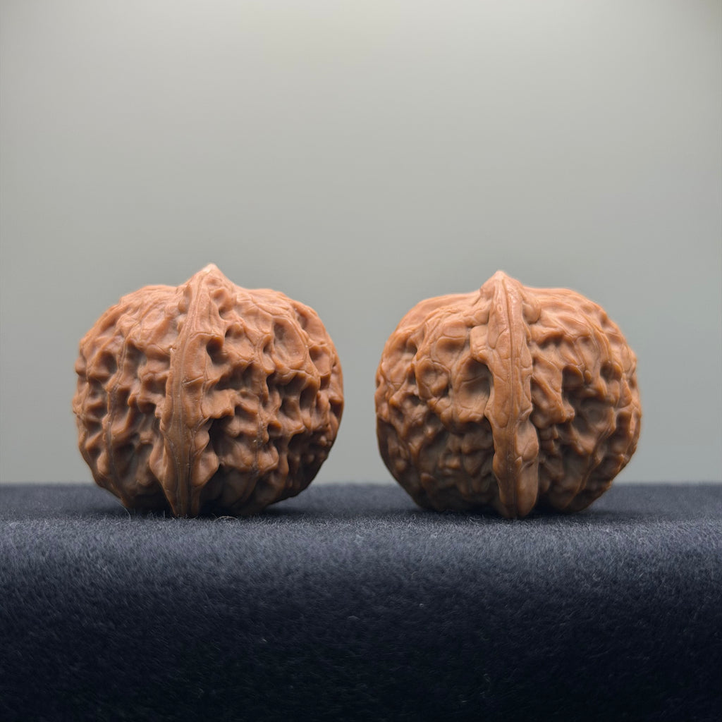 Golf Wenwan Walnut · 37mm · Natural · Entry Ritual