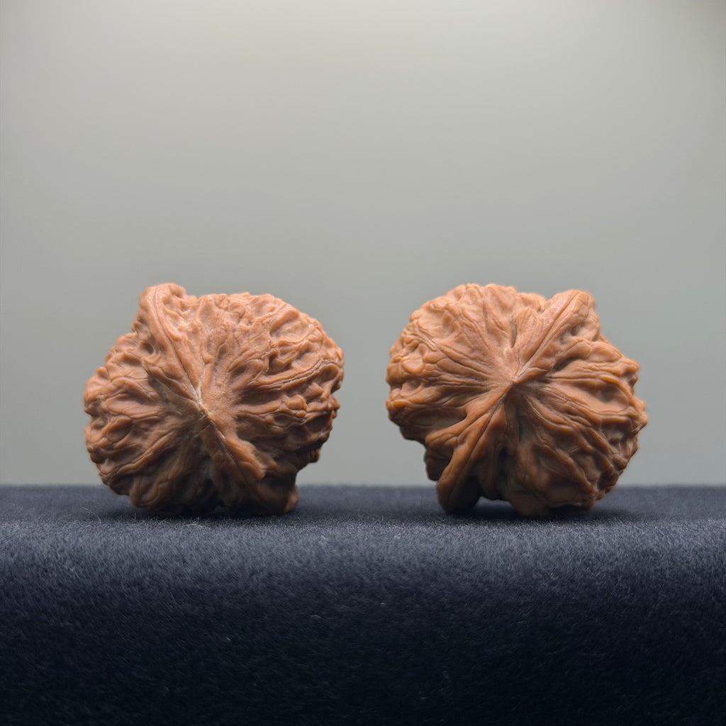 Golf Wenwan Walnut · 37mm · Natural · Entry Ritual