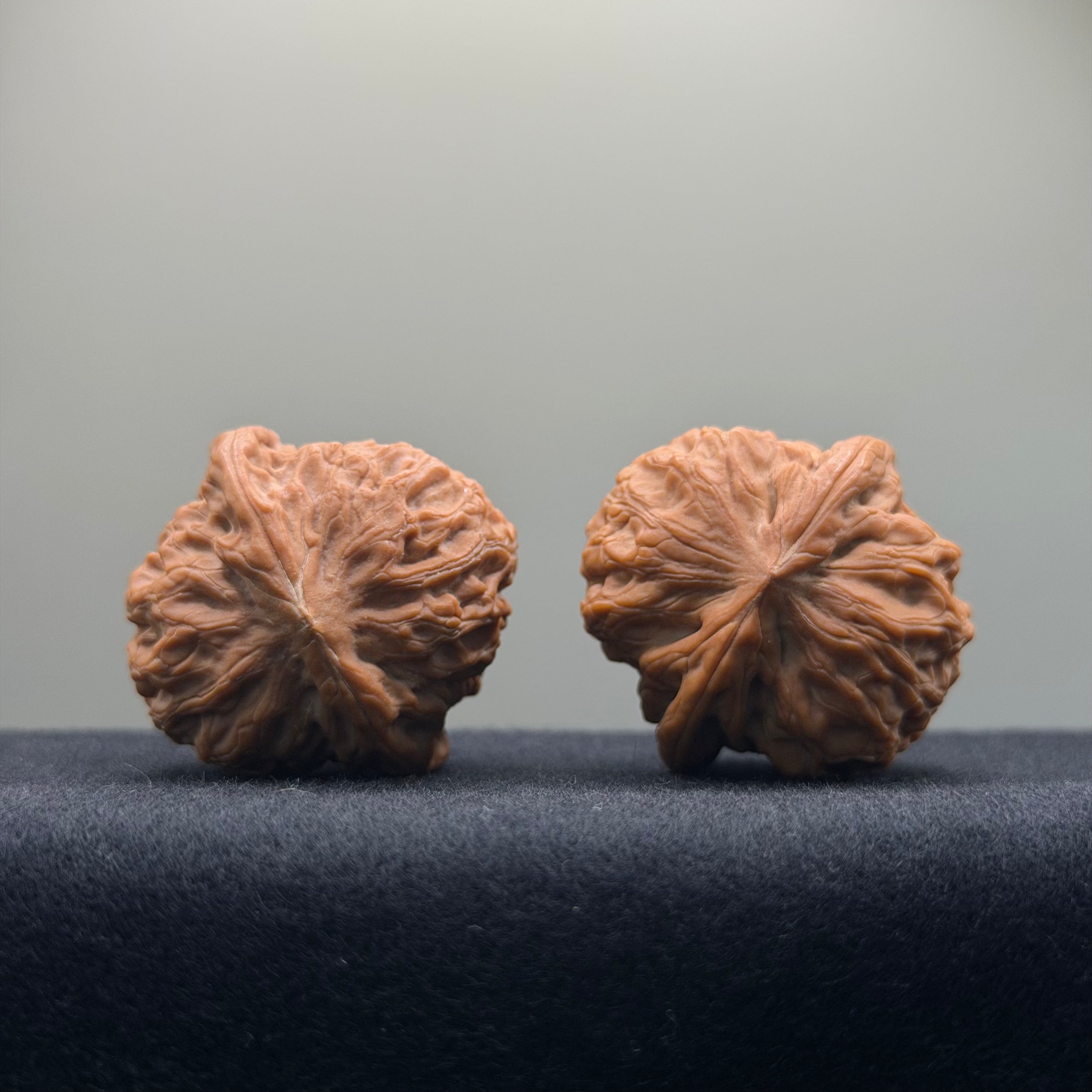 Golf Wenwan Walnut · 37mm · Natural · Entry Ritual