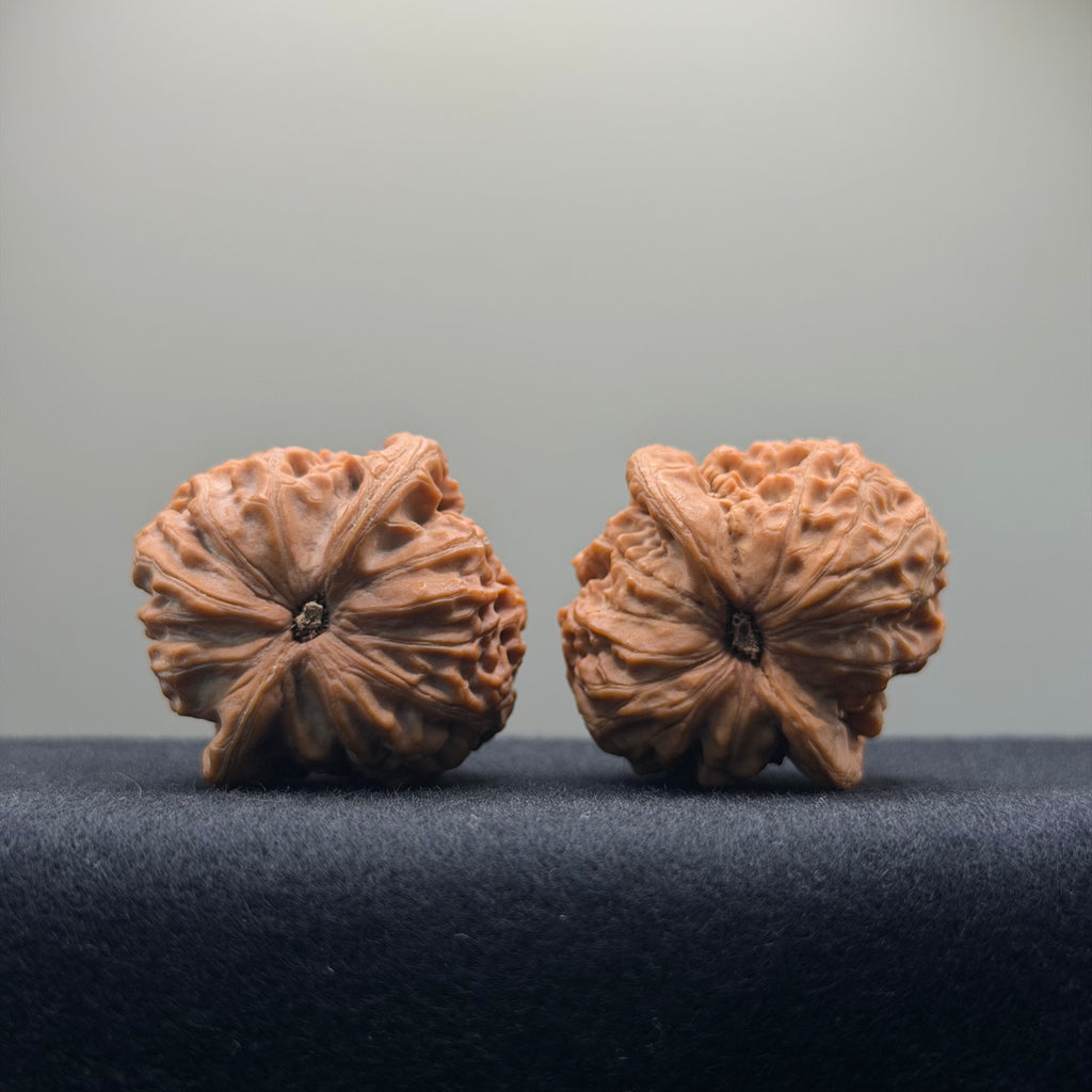 Golf Wenwan Walnut · 37mm · Natural · Entry Ritual