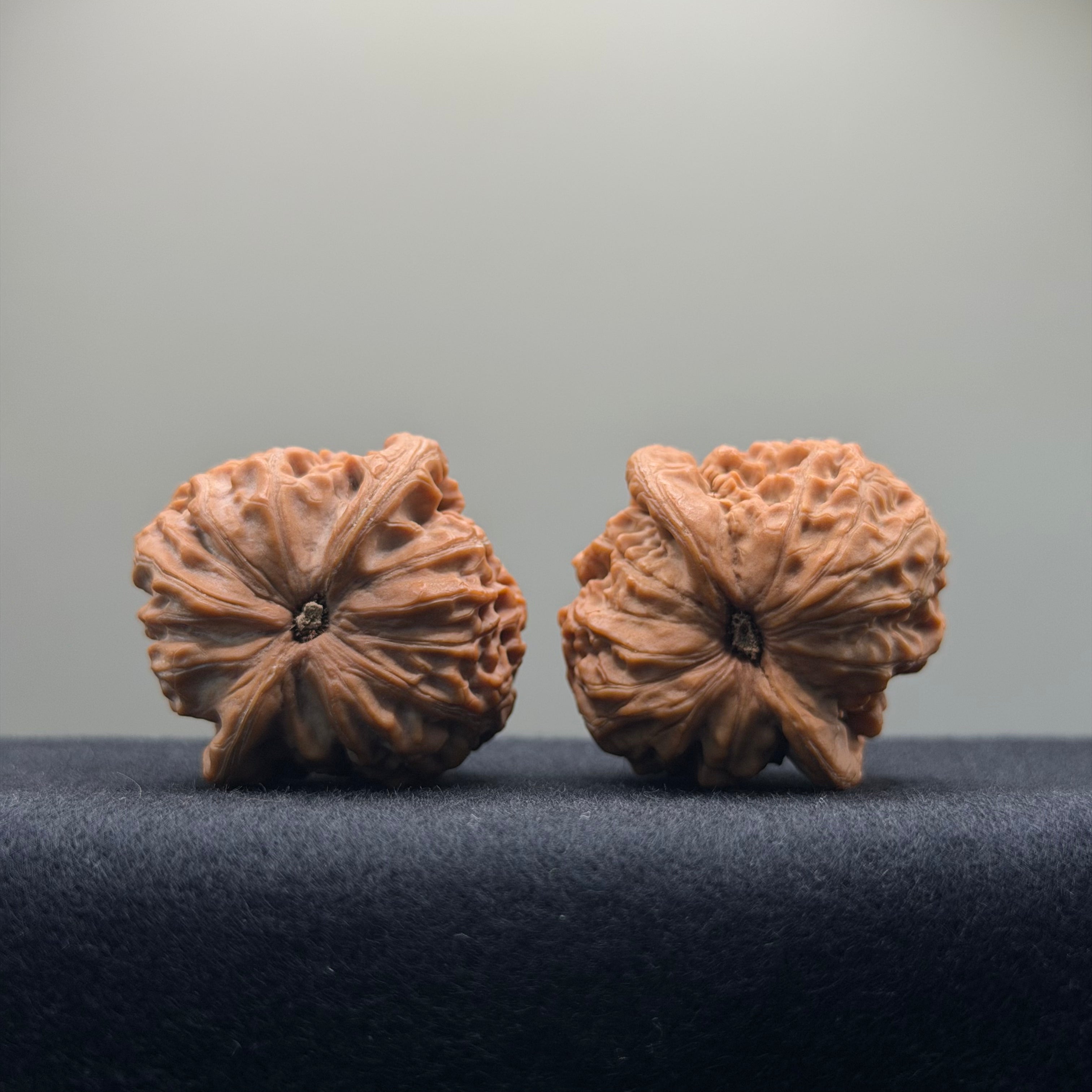 Golf Wenwan Walnut · 37mm · Natural · Entry Ritual