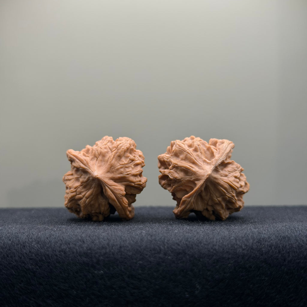 First Love Wenwan Walnut · 30mm · Natural · Entry Ritual