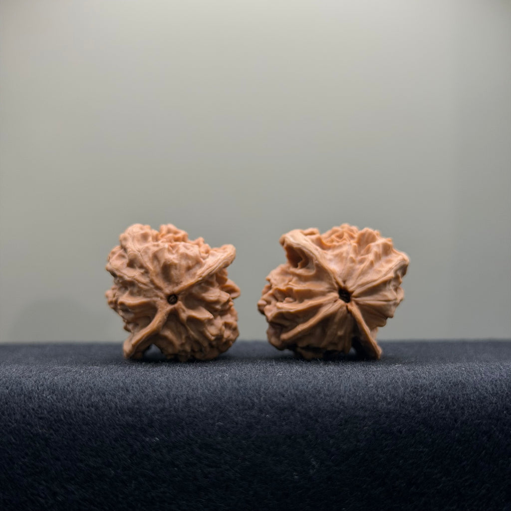 First Love Wenwan Walnut · 30mm · Natural · Entry Ritual