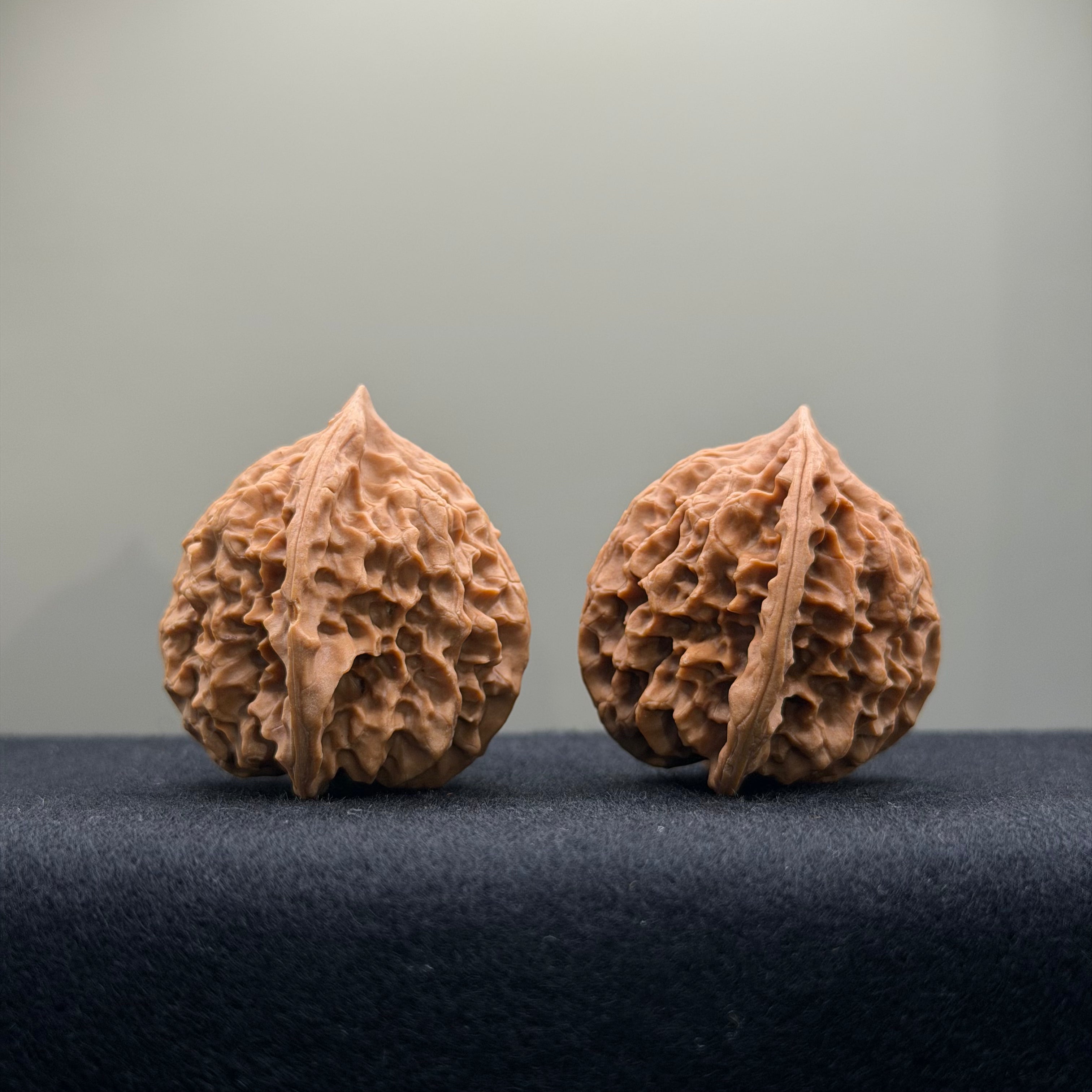 First Love Wenwan Walnut · 37mm · Natural · Entry Ritual