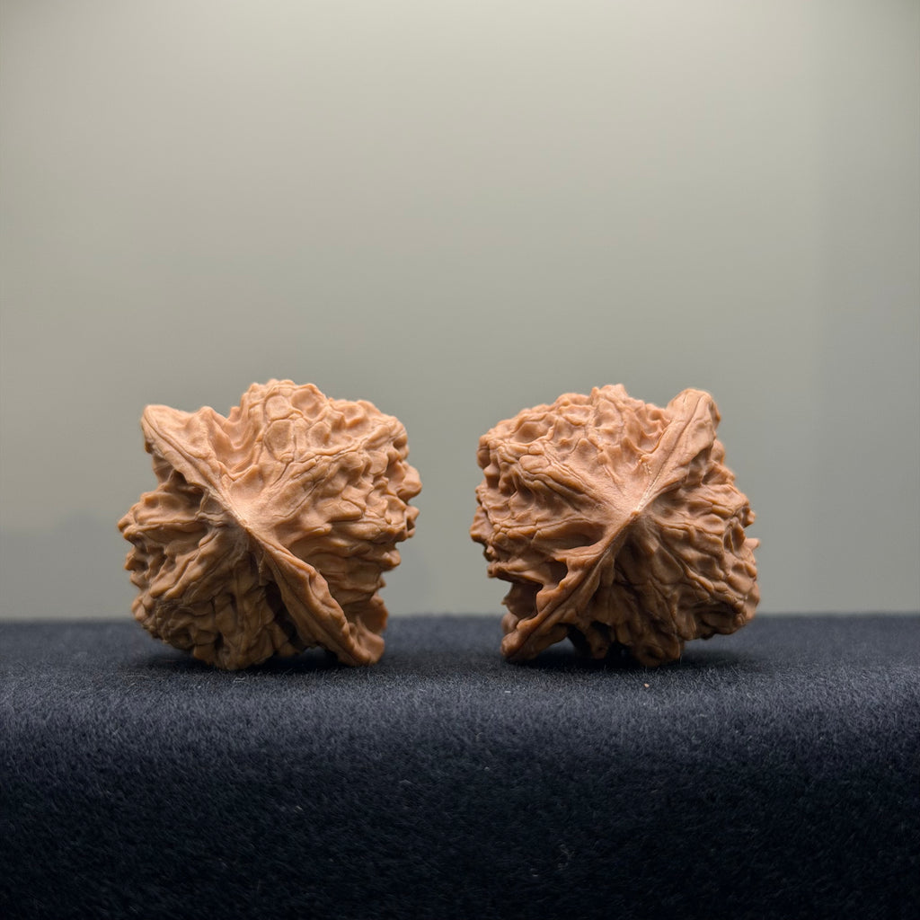 First Love Wenwan Walnut · 37mm · Natural · Entry Ritual