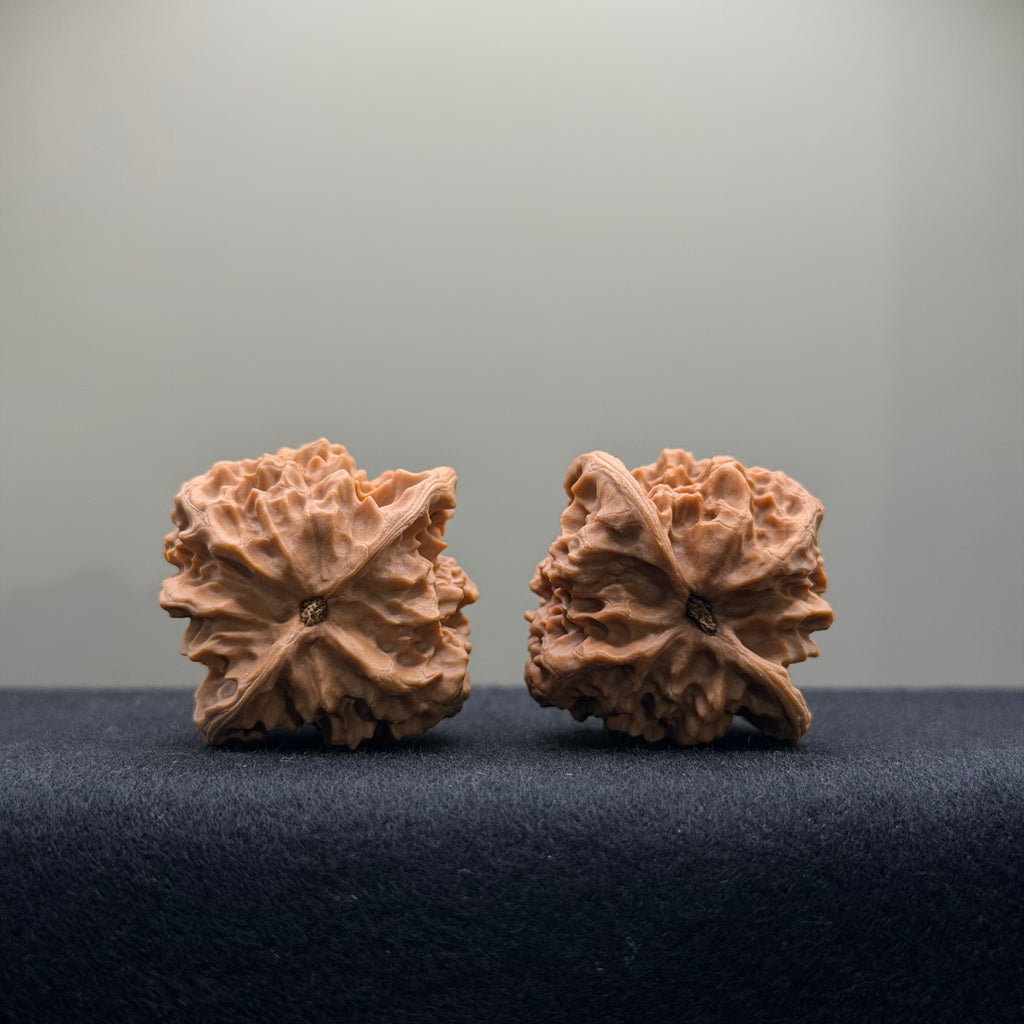 First Love Wenwan Walnut · 37mm · Natural · Entry Ritual
