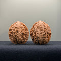 First Love Wenwan Walnut · 33mm · Natural · Entry Ritual