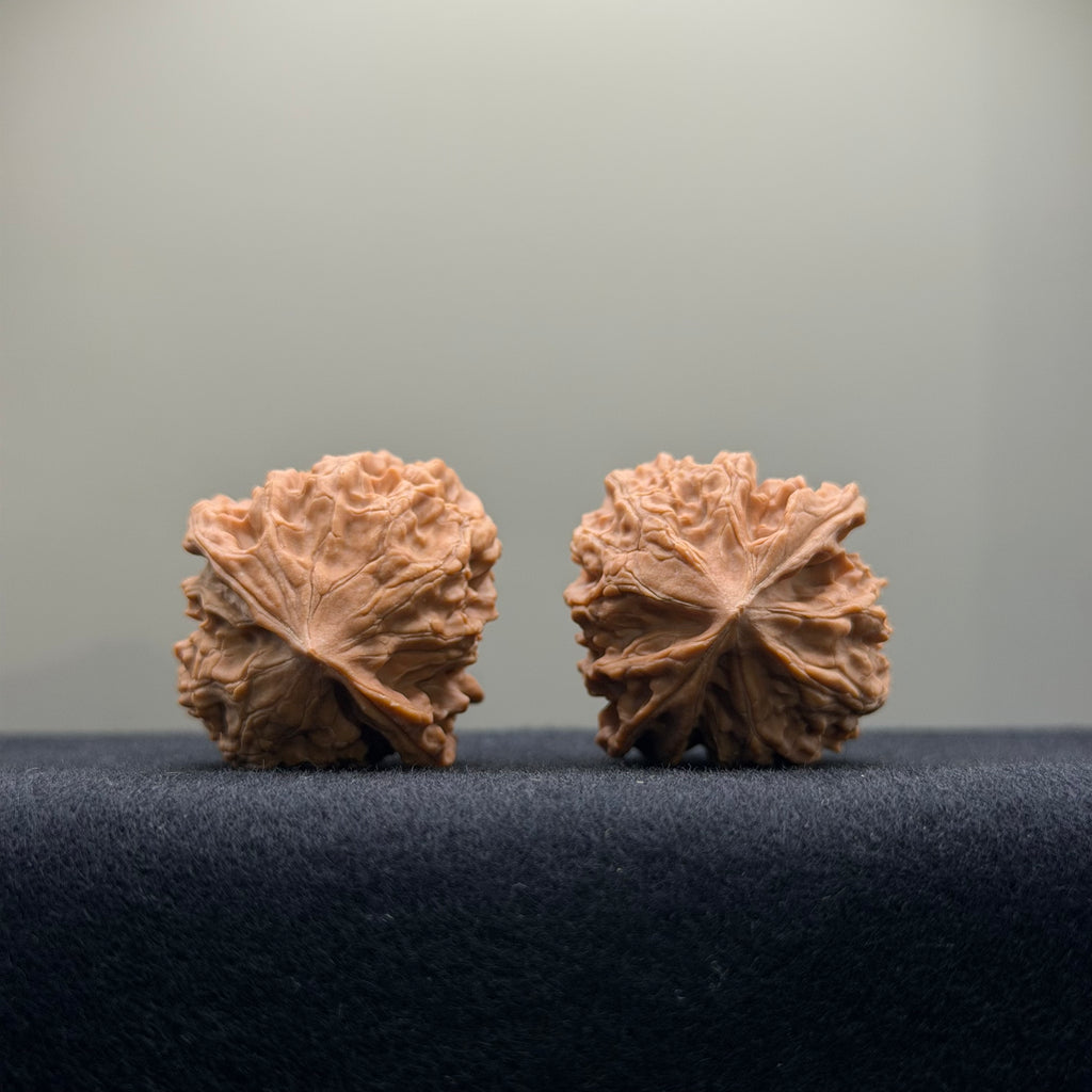 First Love Wenwan Walnut · 33mm · Natural · Entry Ritual