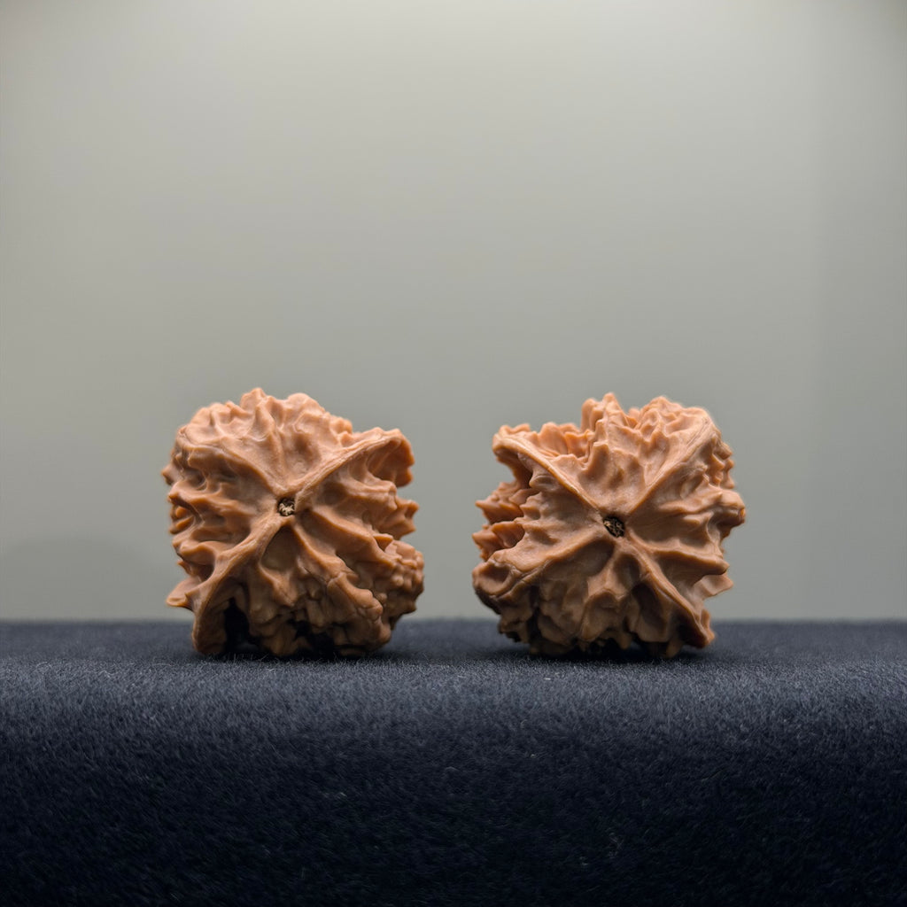 First Love Wenwan Walnut · 33mm · Natural · Entry Ritual