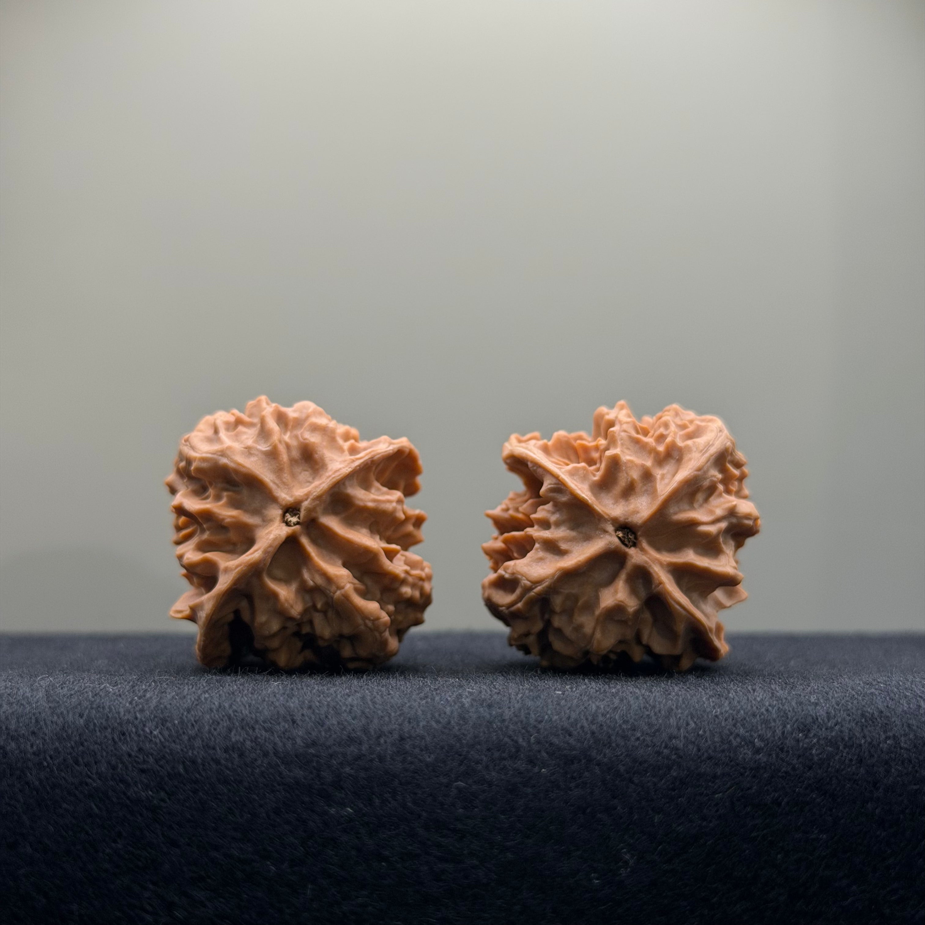 First Love Wenwan Walnut · 33mm · Natural · Entry Ritual