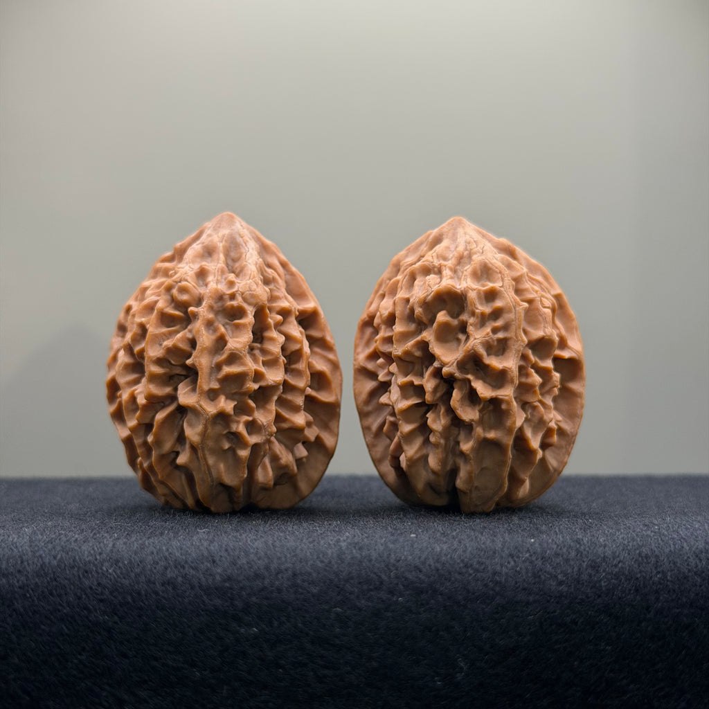 Fortune Rat Wenwan Walnut · 34mm · Natural · Entry Ritual