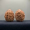 Fortune Rat Wenwan Walnut · 34mm · Natural · Entry Ritual