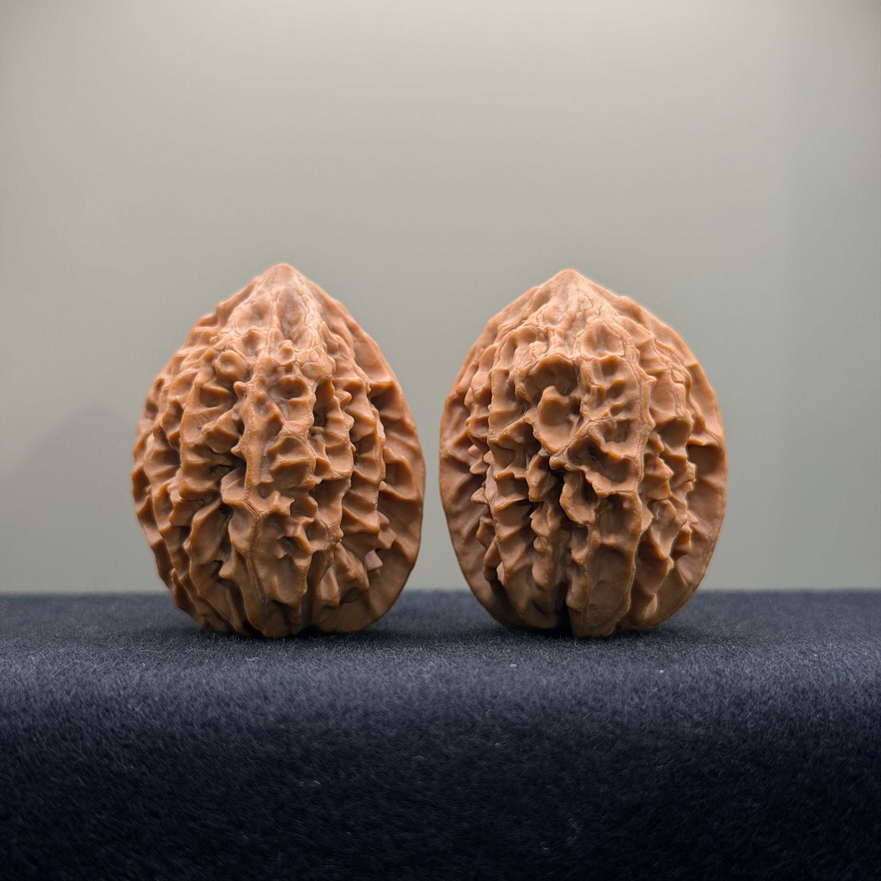 Fortune Rat Wenwan Walnut · 34mm · Natural · Entry Ritual