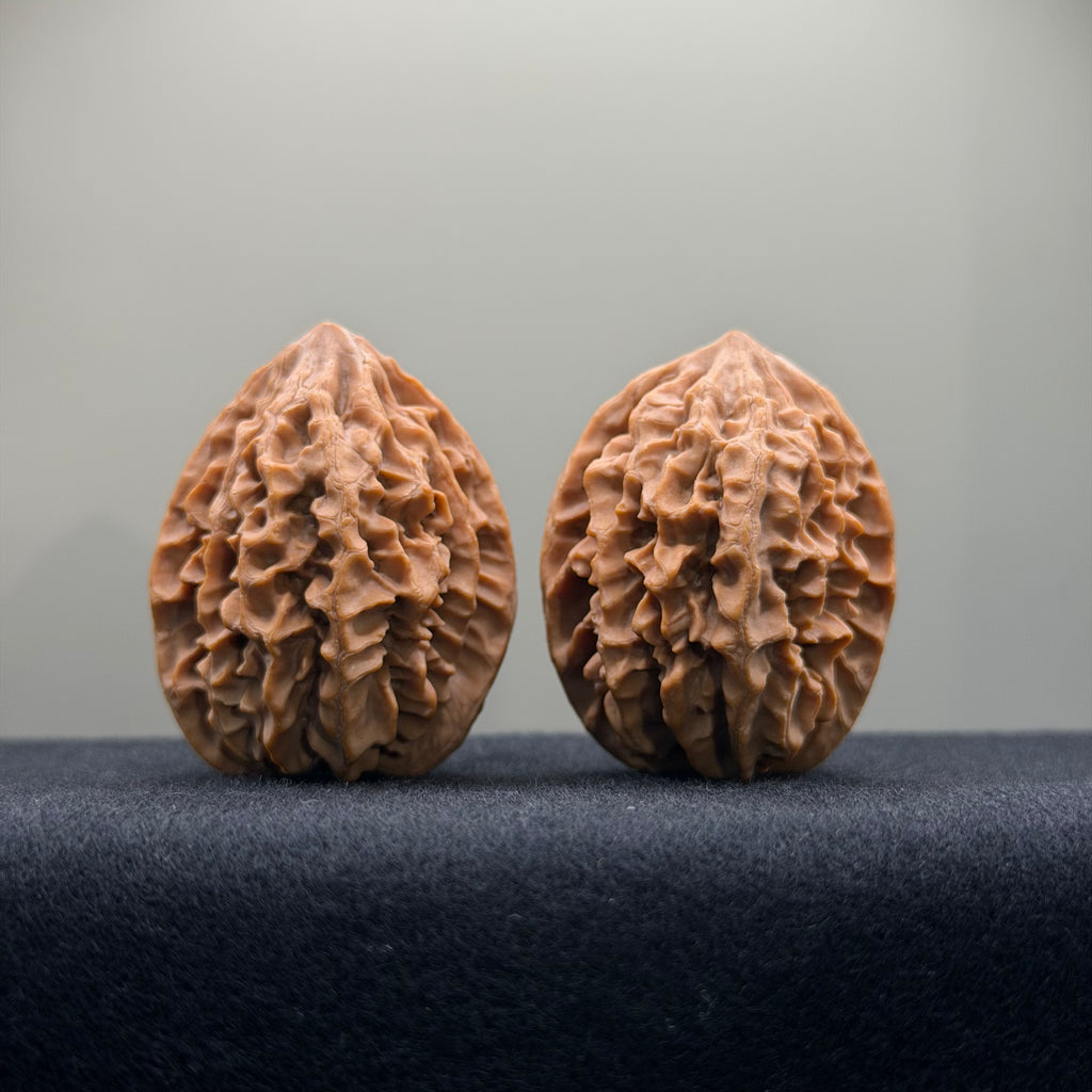 Fortune Rat Wenwan Walnut · 34mm · Natural · Entry Ritual