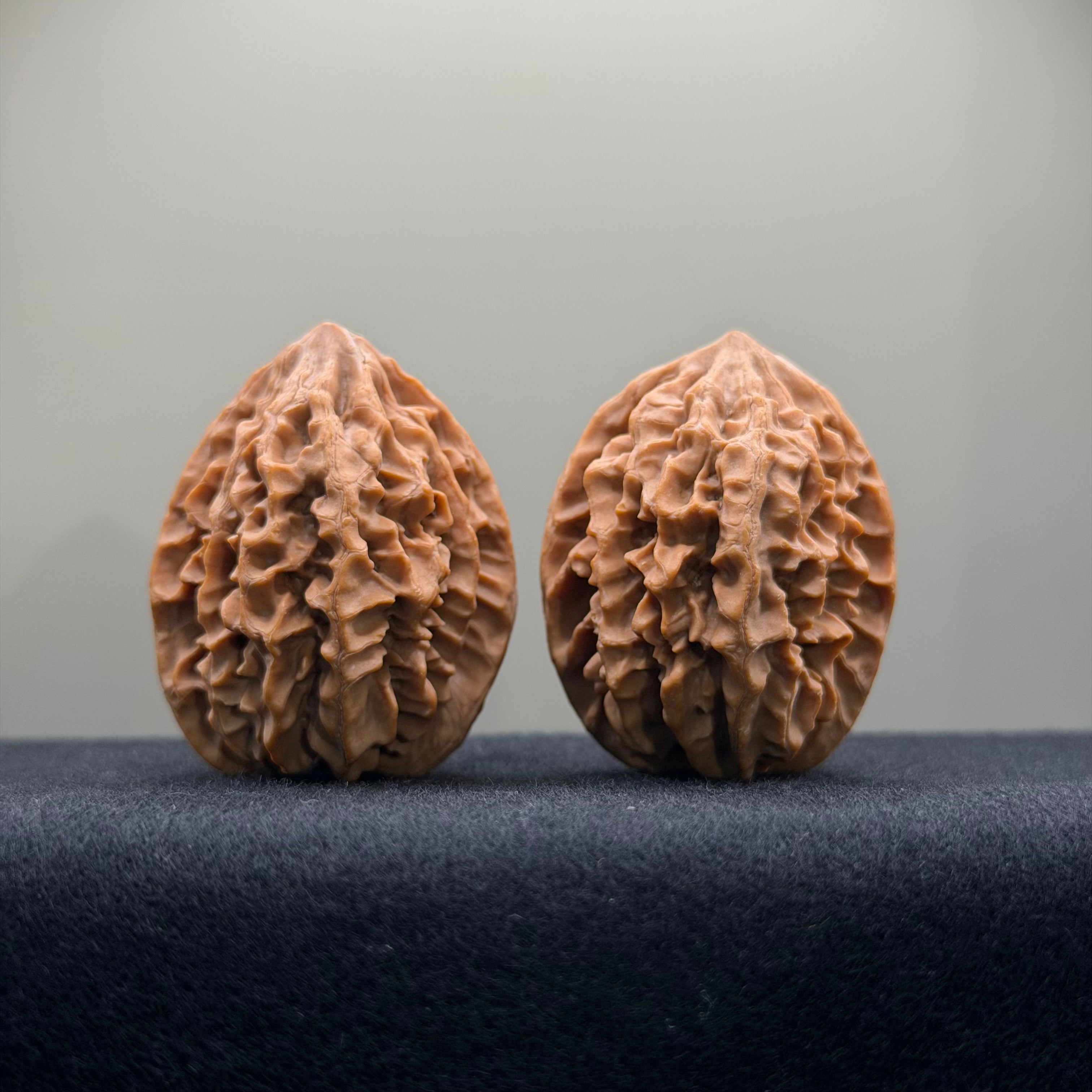 Fortune Rat Wenwan Walnut · 34mm · Natural · Entry Ritual