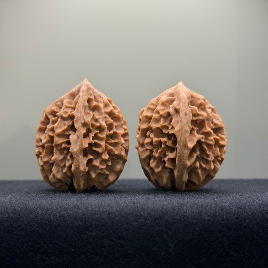Fortune Rat Wenwan Walnut · 34mm · Natural · Entry Ritual