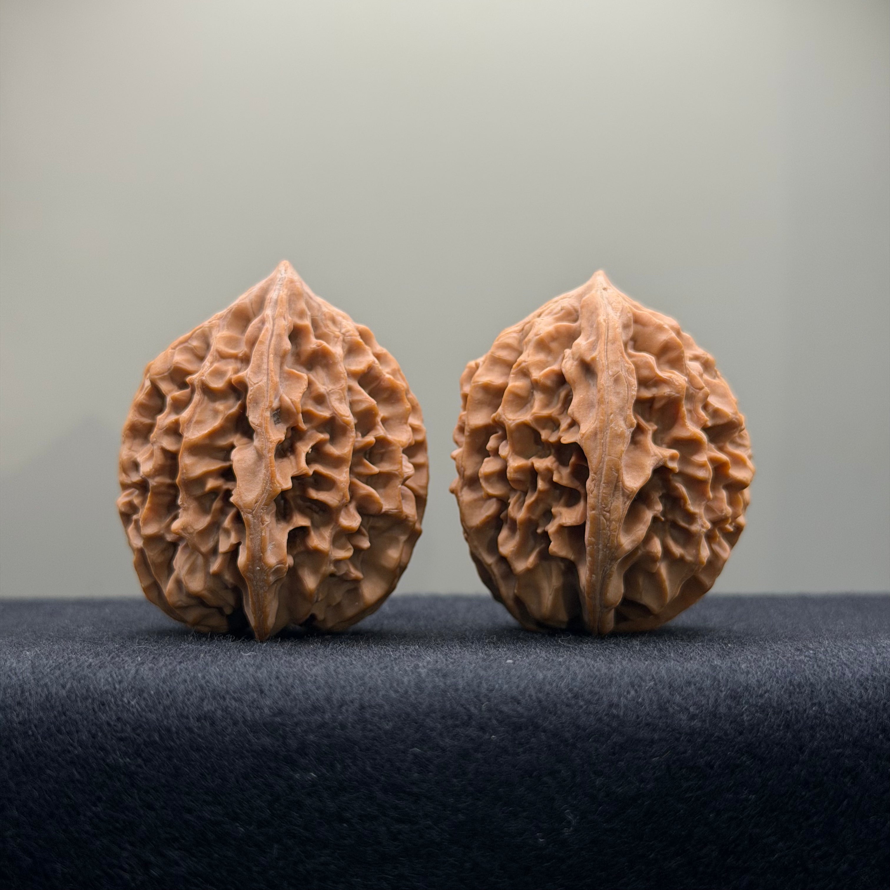 Fortune Rat Wenwan Walnut · 34mm · Natural · Entry Ritual