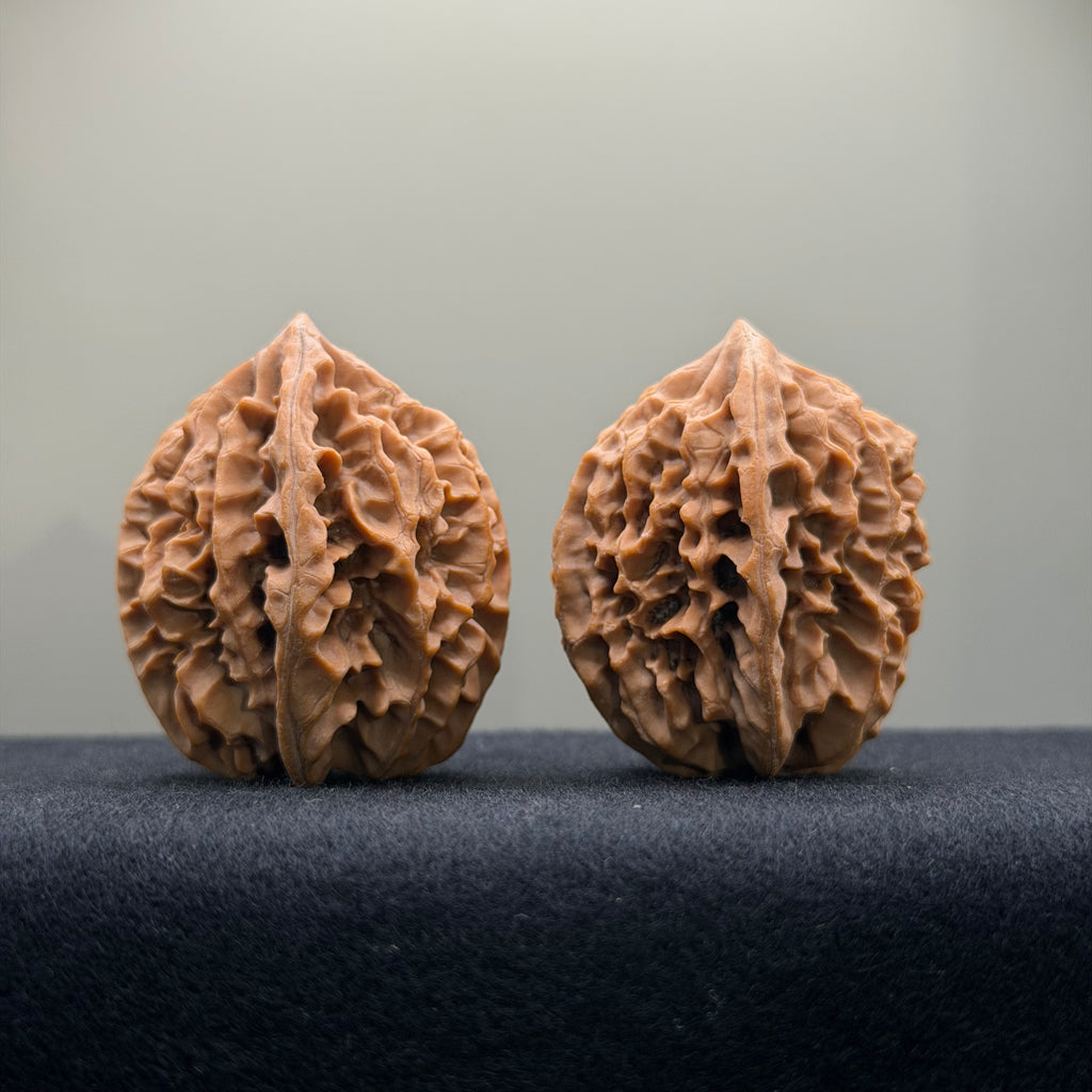 Fortune Rat Wenwan Walnut · 34mm · Natural · Entry Ritual