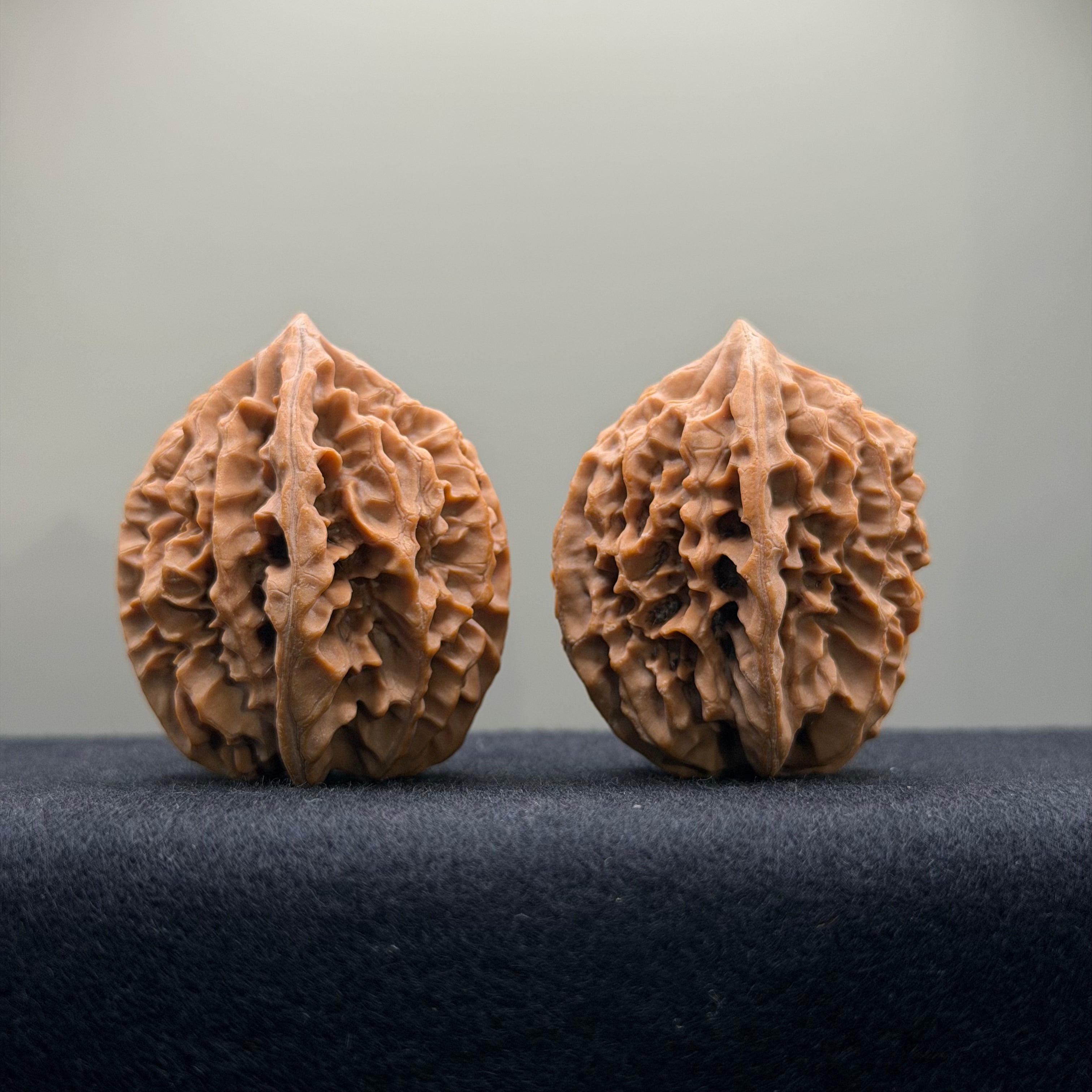 Fortune Rat Wenwan Walnut · 34mm · Natural · Entry Ritual