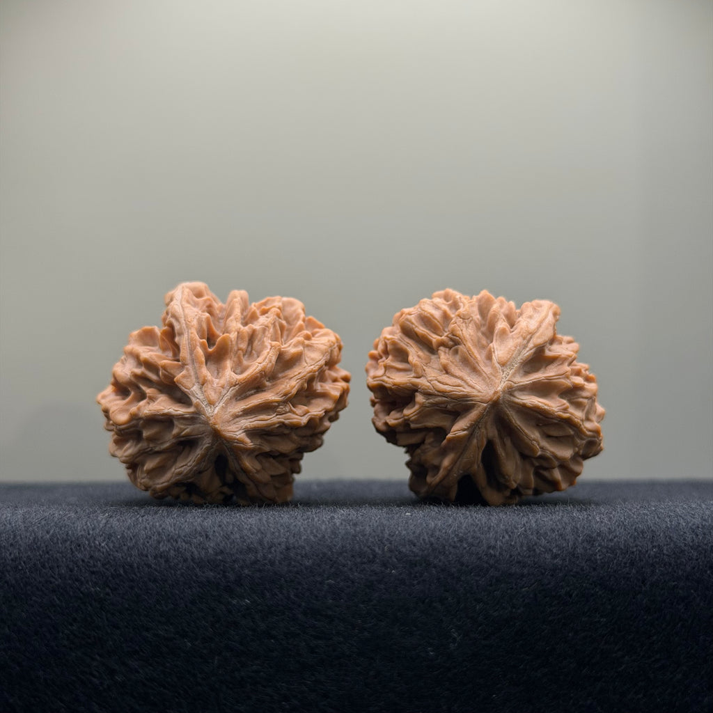 Fortune Rat Wenwan Walnut · 34mm · Natural · Entry Ritual
