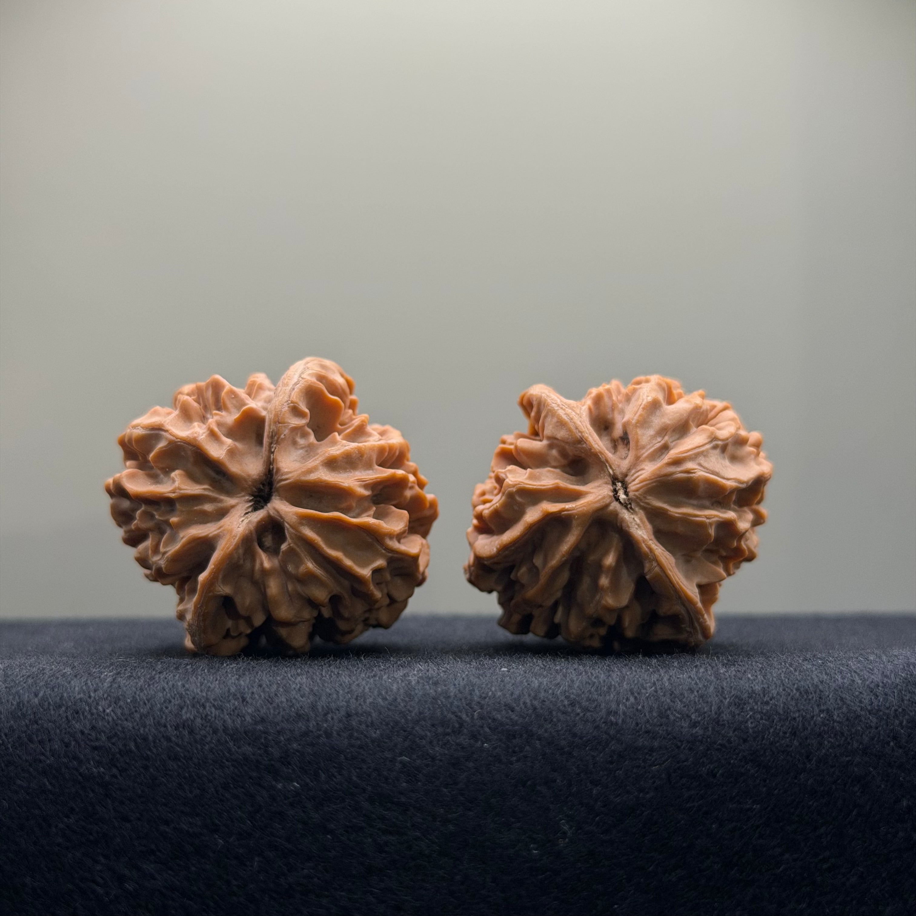 Fortune Rat Wenwan Walnut · 34mm · Natural · Entry Ritual