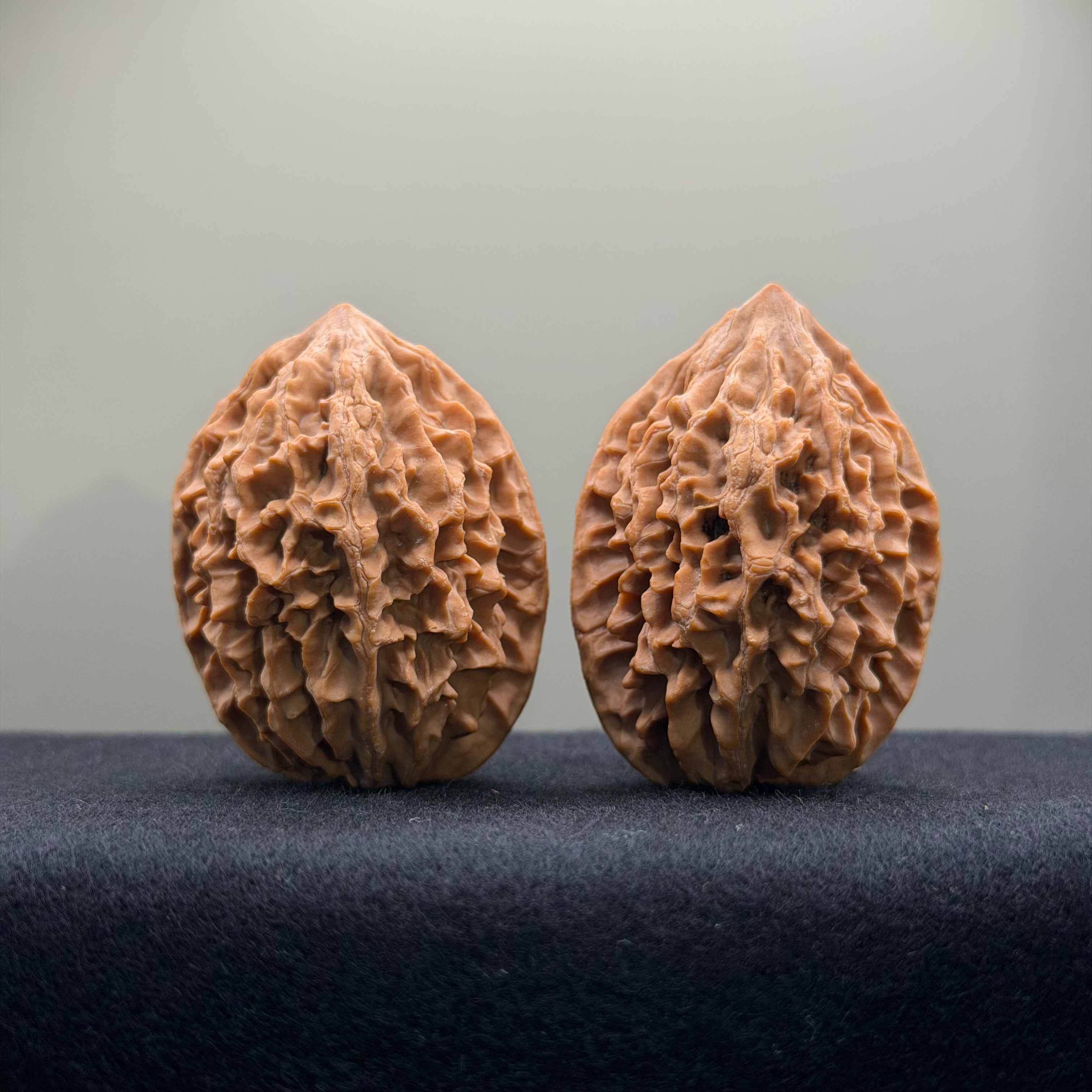 Fortune Rat Wenwan Walnut · 36mm · Natural · Select Ritual