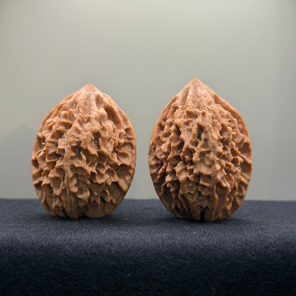 Fortune Rat Wenwan Walnut · 36mm · Natural · Select Ritual