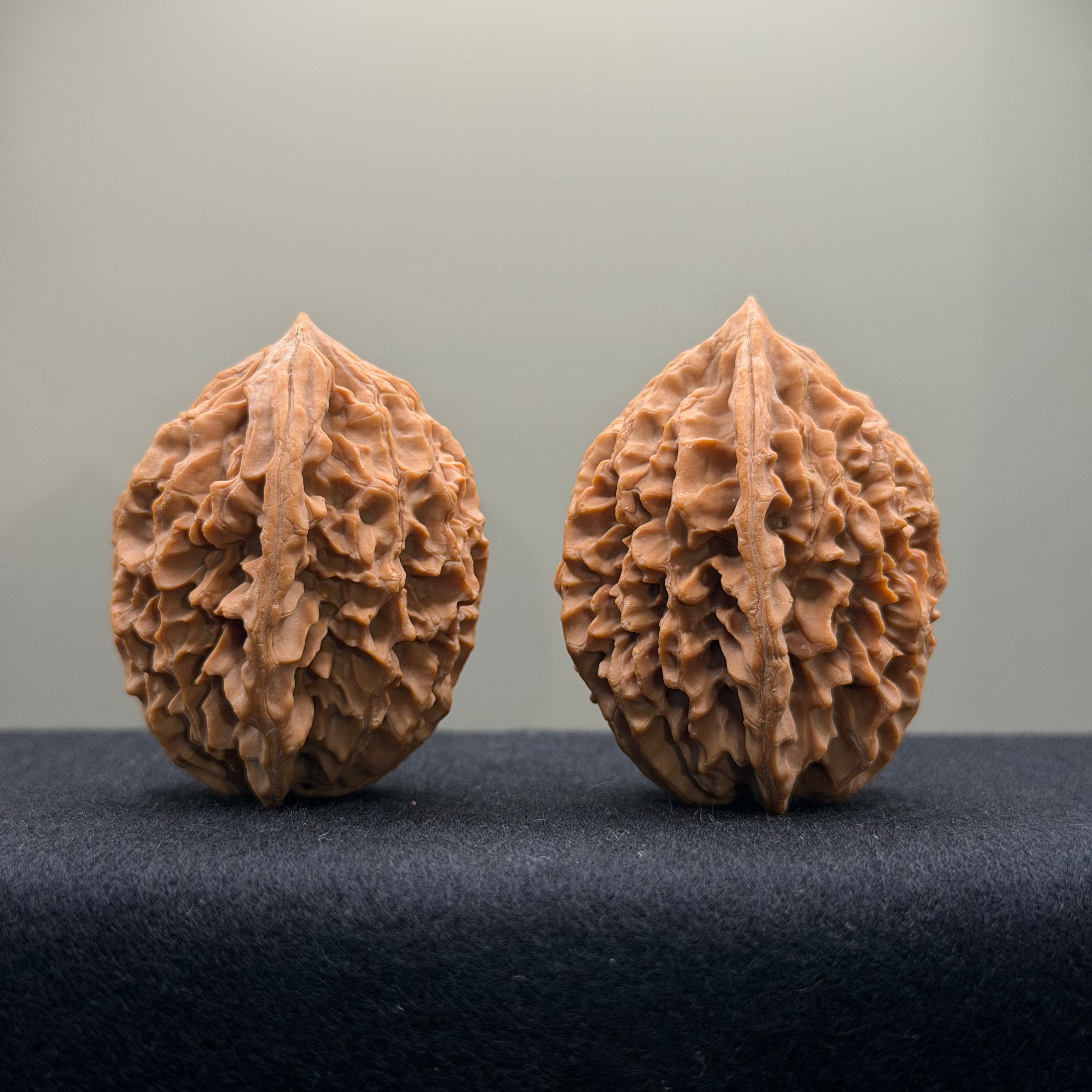 Fortune Rat Wenwan Walnut · 36mm · Natural · Select Ritual
