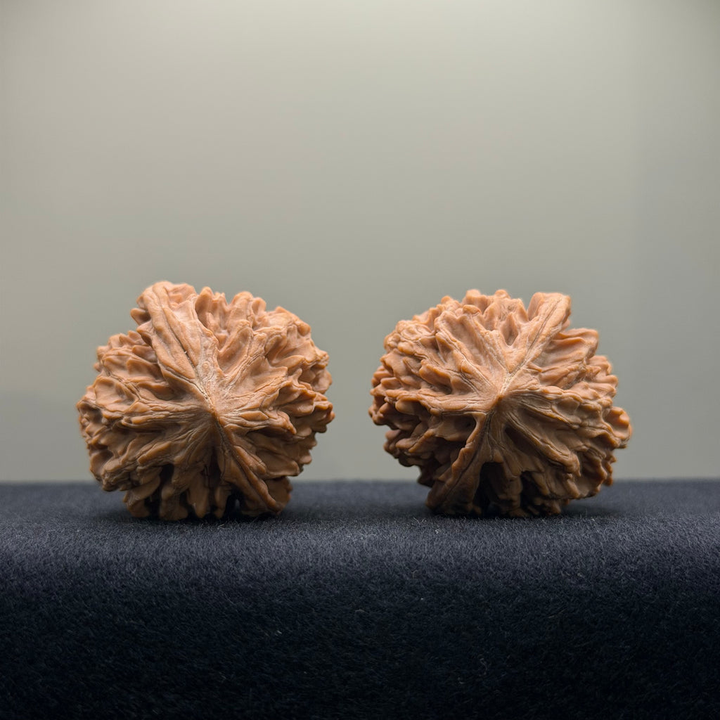 Fortune Rat Wenwan Walnut · 36mm · Natural · Select Ritual