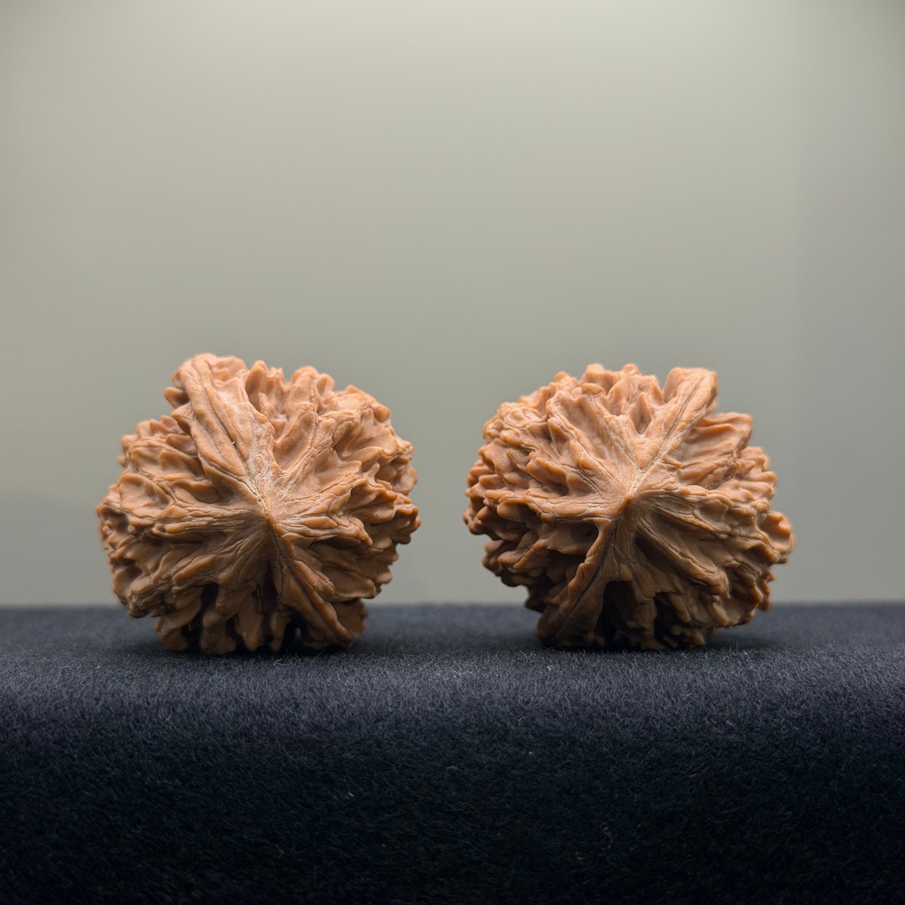 Fortune Rat Wenwan Walnut · 36mm · Natural · Select Ritual