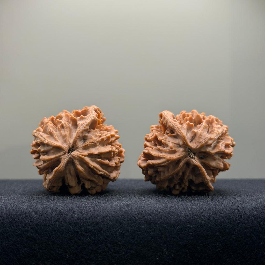 Fortune Rat Wenwan Walnut · 36mm · Natural · Select Ritual