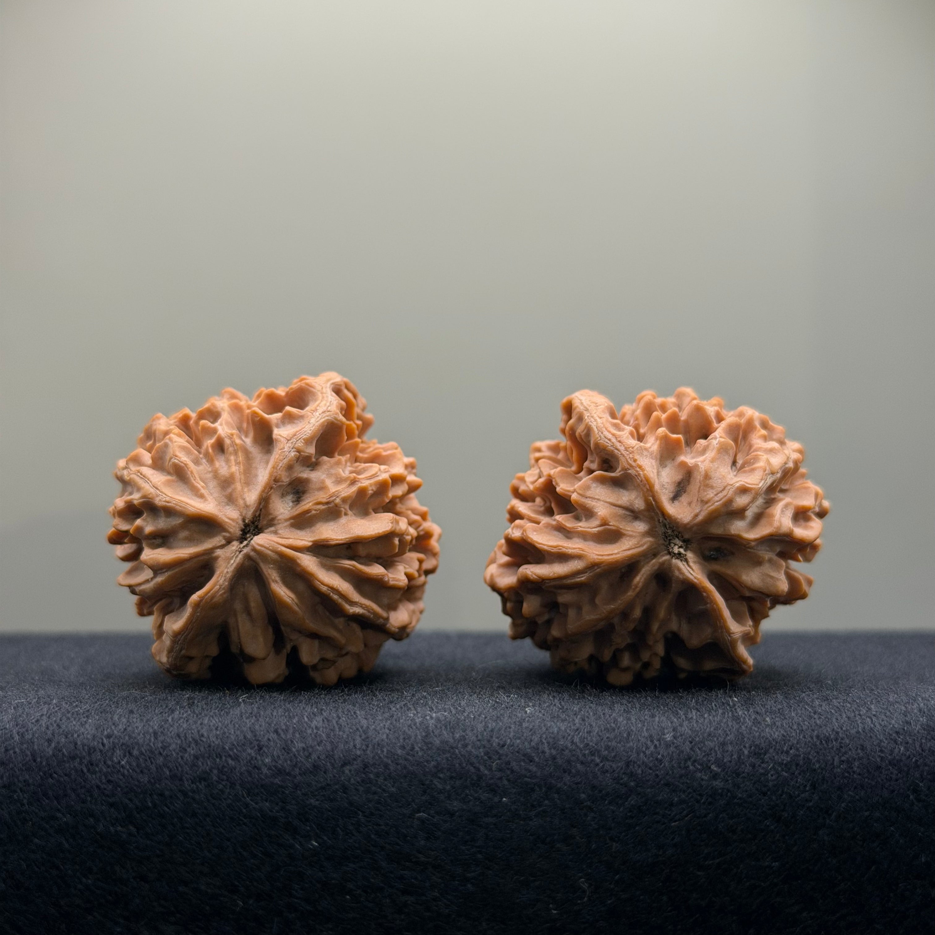 Fortune Rat Wenwan Walnut · 36mm · Natural · Select Ritual