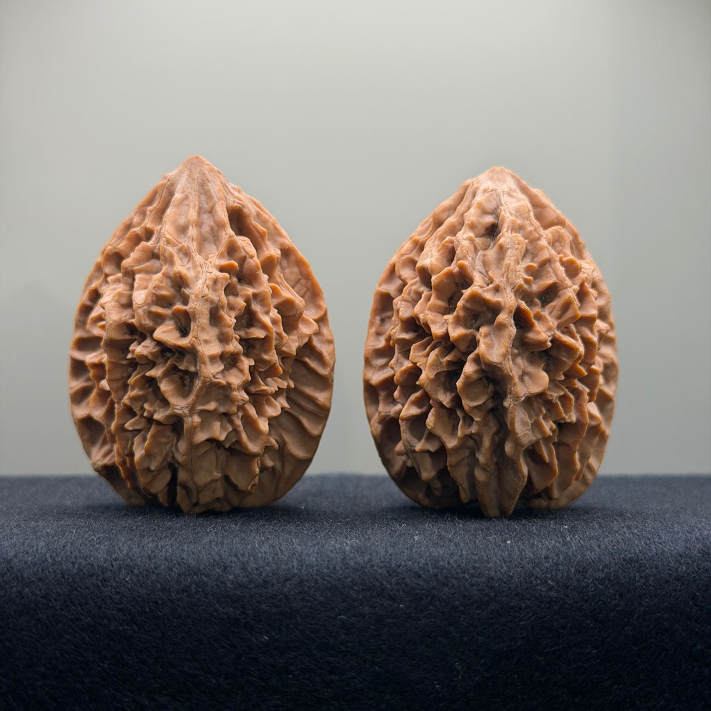 Fortune Rat Wenwan Walnut · 41mm · Natural · Premium Ritual