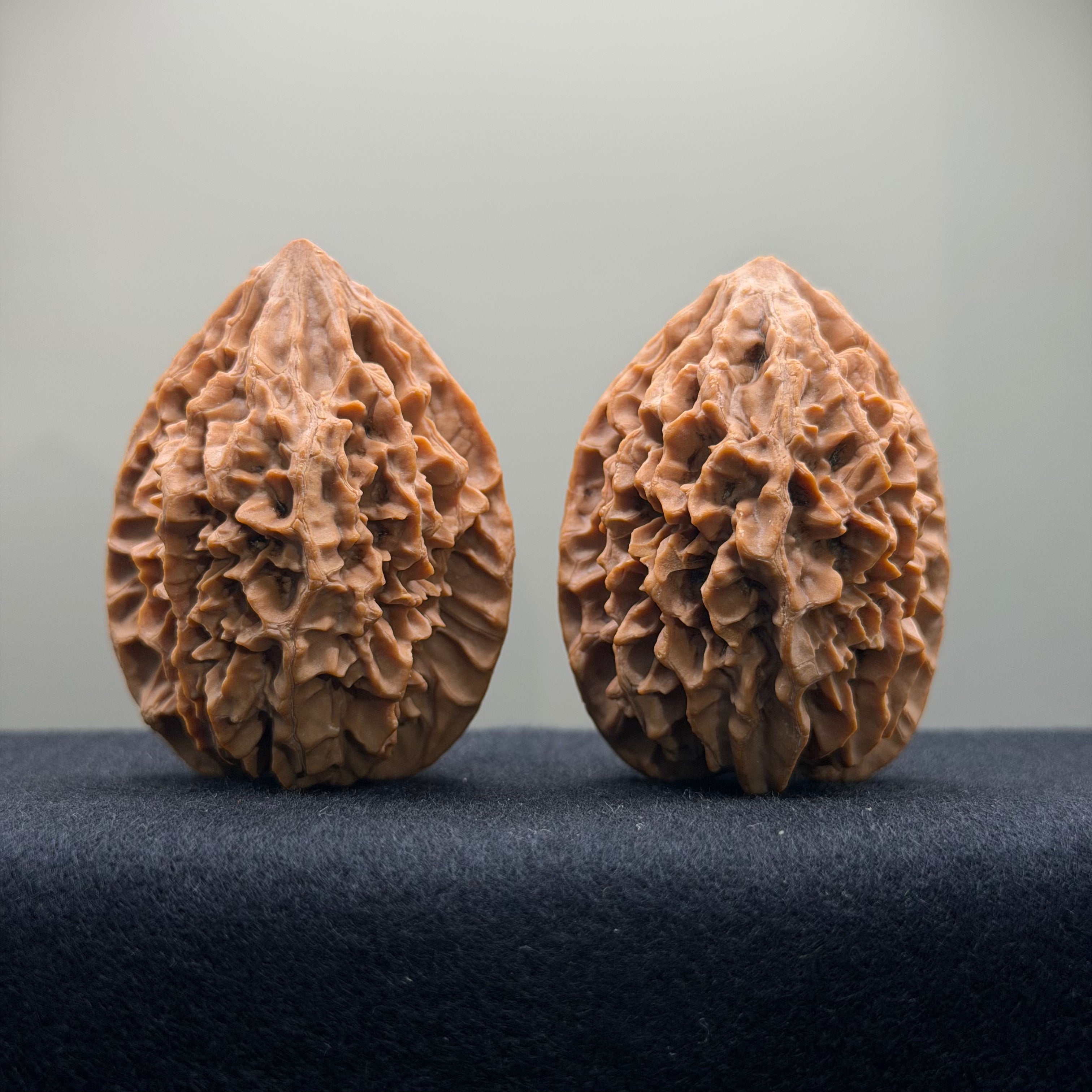 Fortune Rat Wenwan Walnut · 41mm · Natural · Premium Ritual