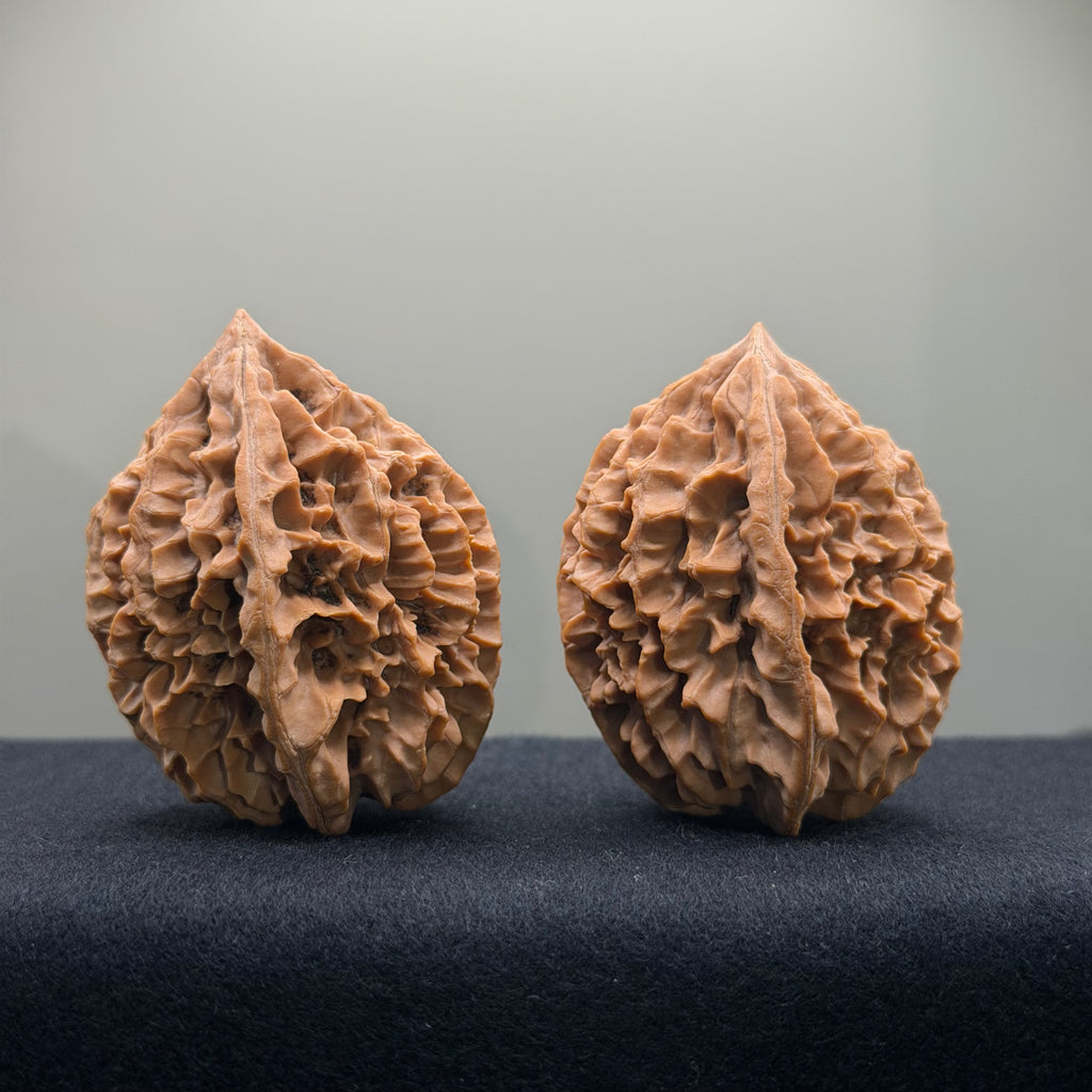 Fortune Rat Wenwan Walnut · 41mm · Natural · Premium Ritual