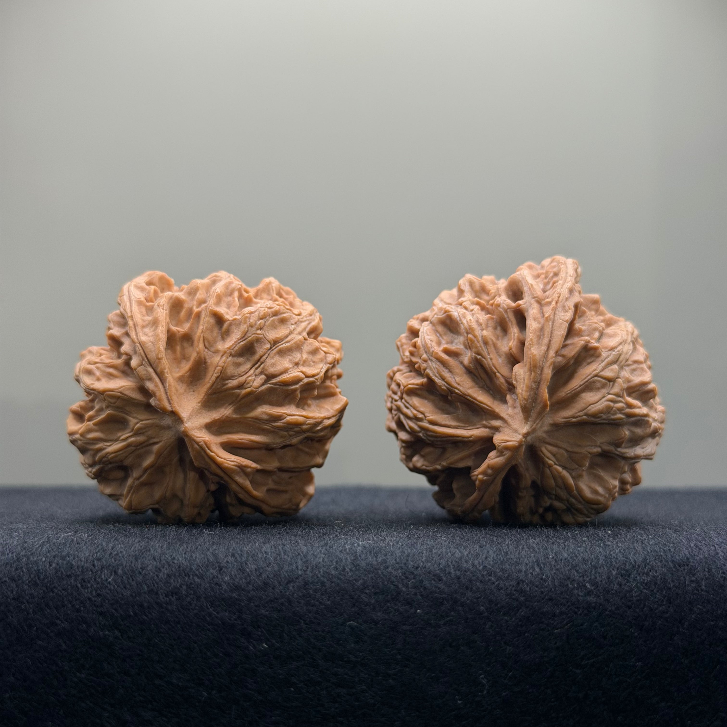 Apple Orchard Wenwan Walnut · 38mm · Natural · Entry Ritual