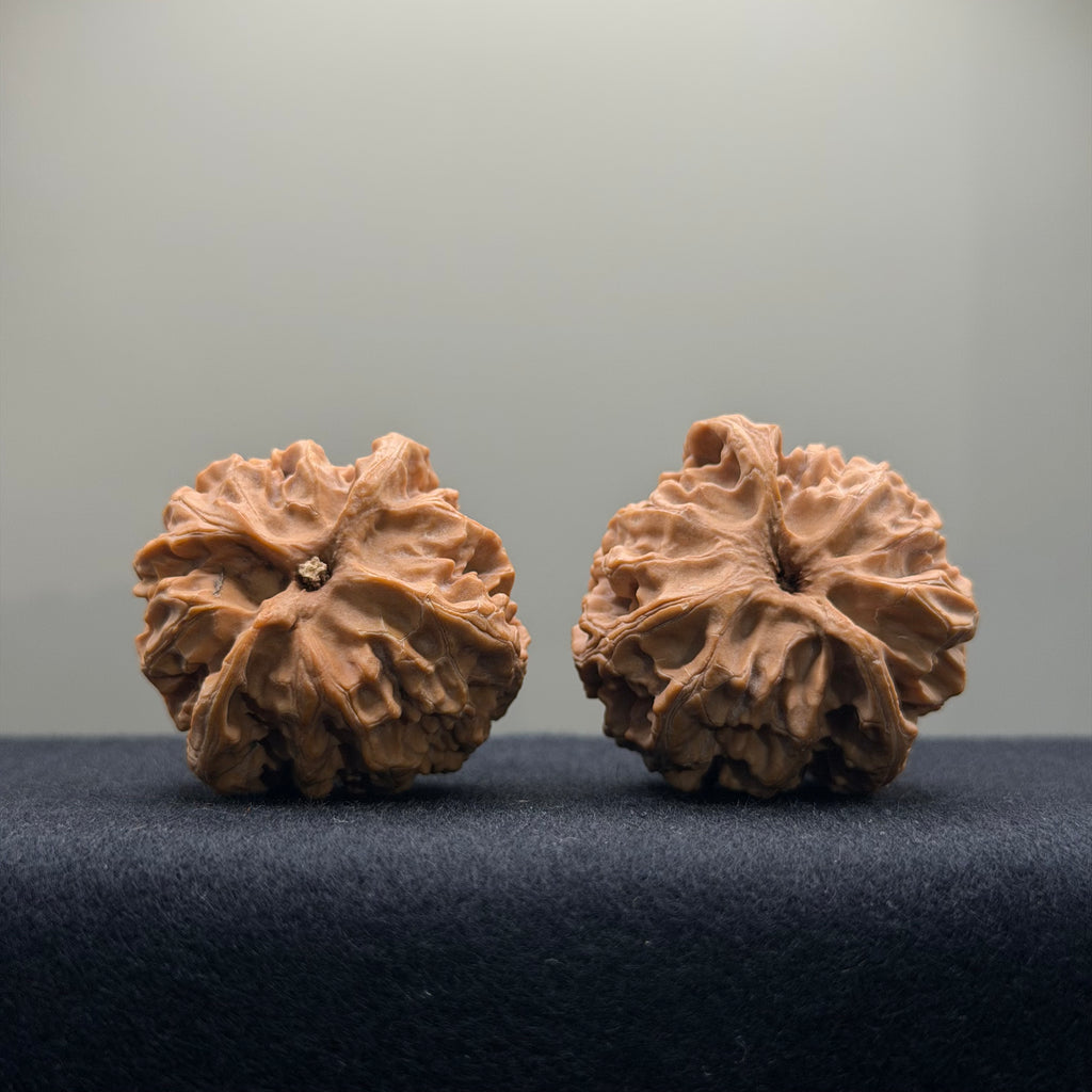 Apple Orchard Wenwan Walnut · 38mm · Natural · Entry Ritual