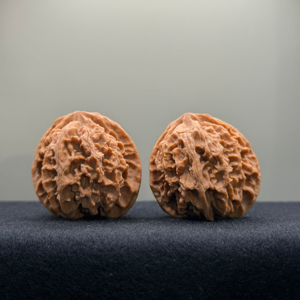 Apple Orchard Wenwan Walnut · 37mm · Natural · Entry Ritual
