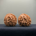Apple Orchard Wenwan Walnut · 37mm · Natural · Entry Ritual