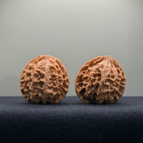 Apple Orchard Wenwan Walnut · 37mm · Natural · Entry Ritual