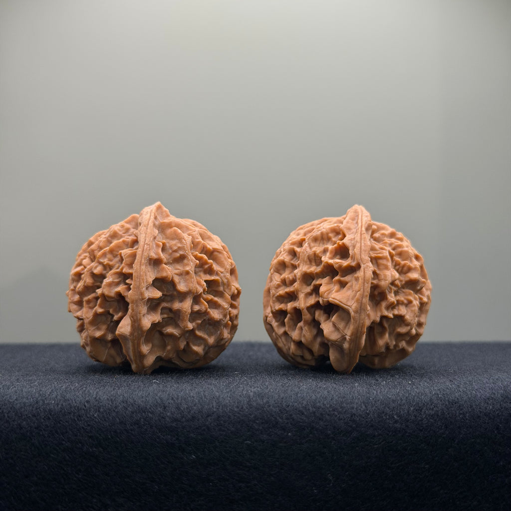 Apple Orchard Wenwan Walnut · 37mm · Natural · Entry Ritual