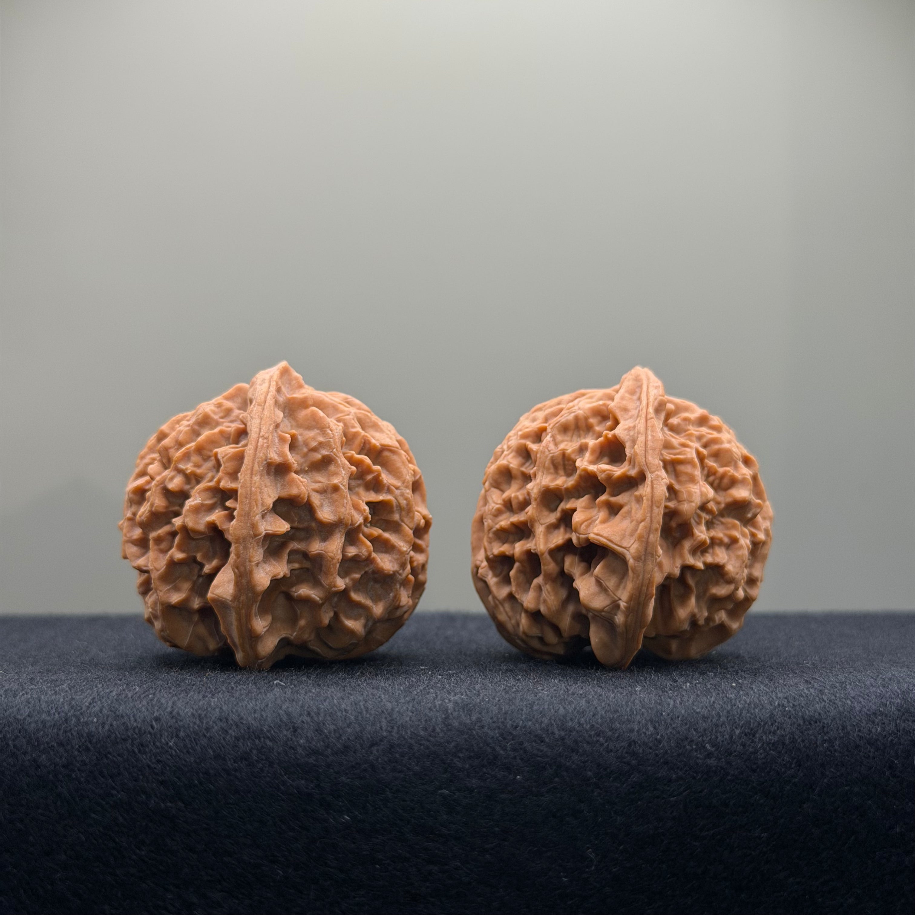 Apple Orchard Wenwan Walnut · 37mm · Natural · Entry Ritual