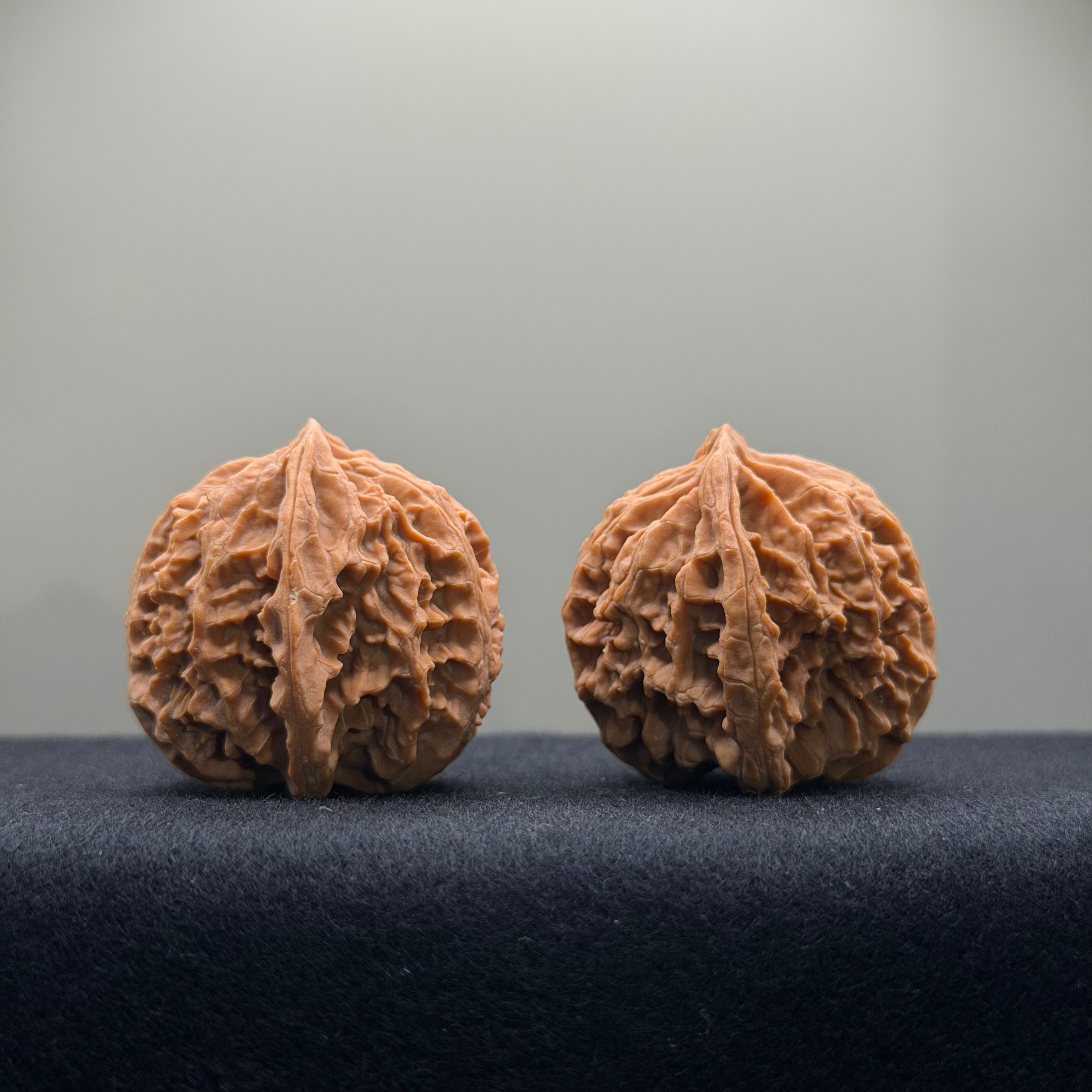 Apple Orchard Wenwan Walnut · 37mm · Natural · Entry Ritual