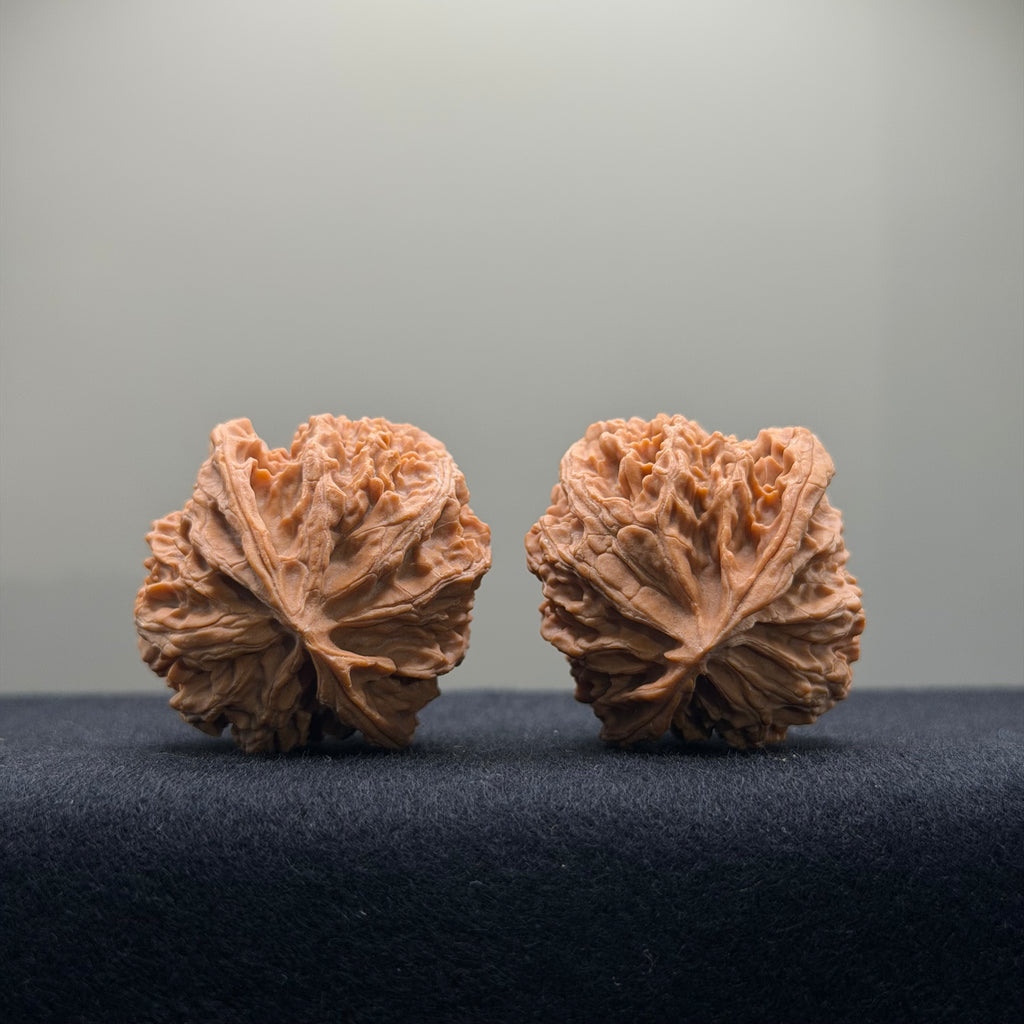 Apple Orchard Wenwan Walnut · 37mm · Natural · Entry Ritual