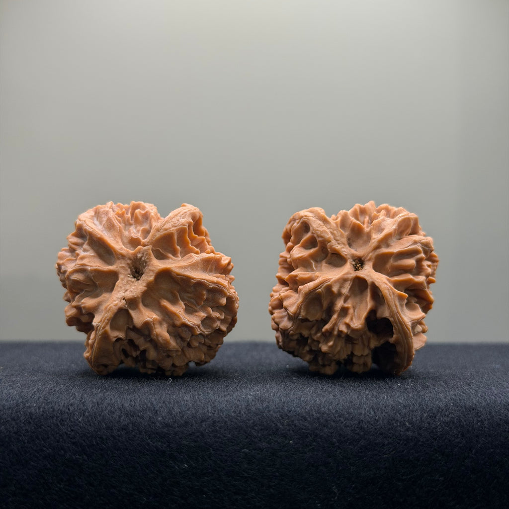 Apple Orchard Wenwan Walnut · 37mm · Natural · Entry Ritual