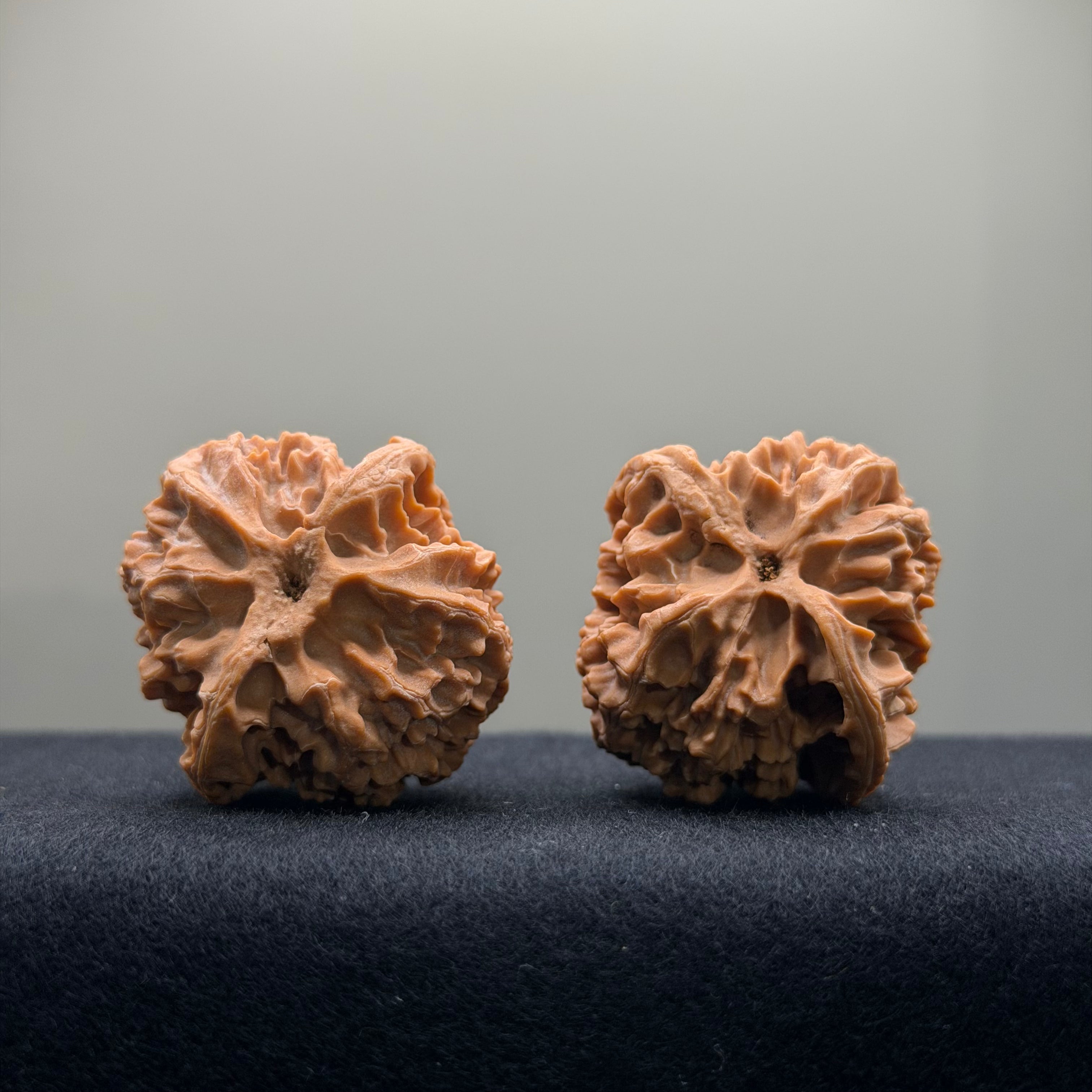 Apple Orchard Wenwan Walnut · 37mm · Natural · Entry Ritual