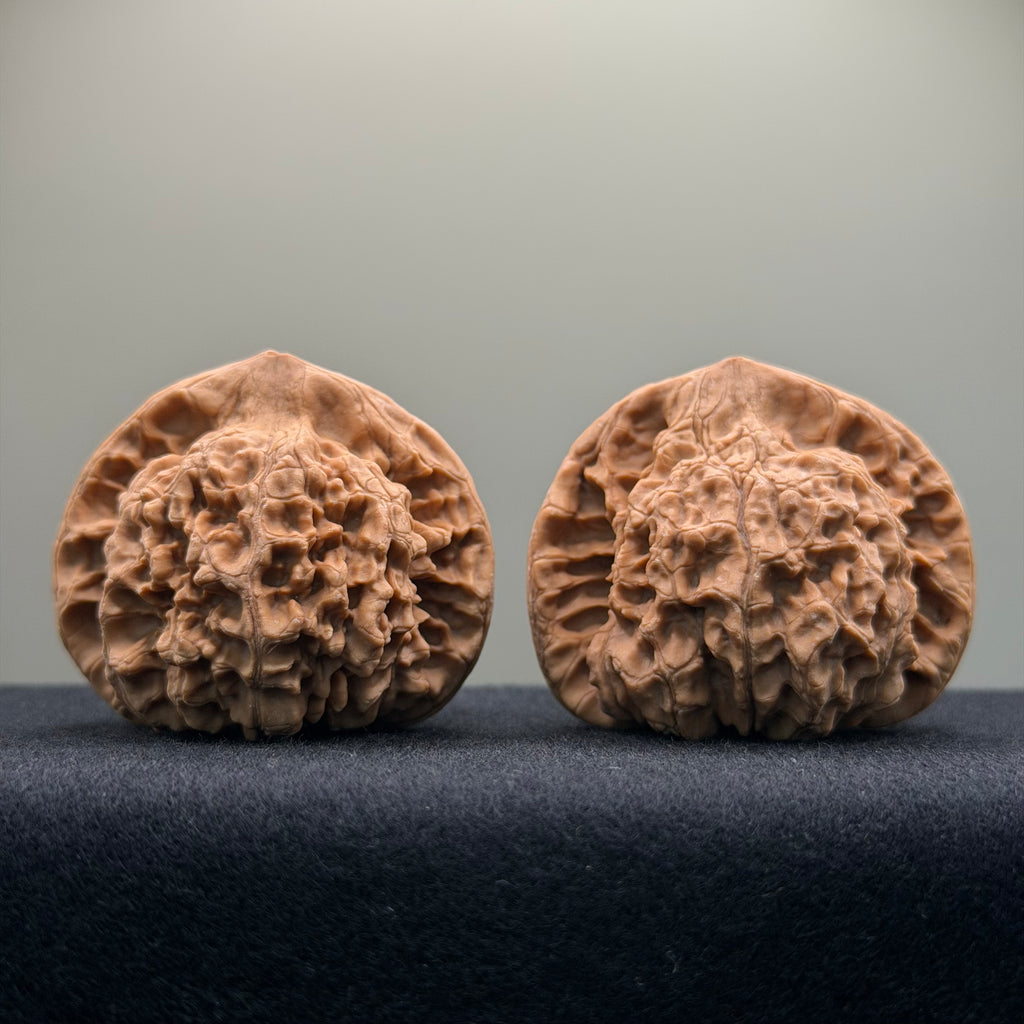 Official Hat Wenwan Walnut · 47mm · Natural · Entry Ritual