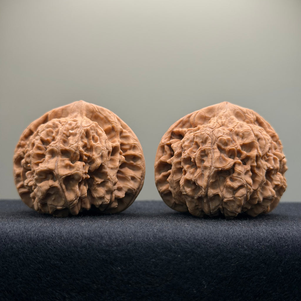 Official Hat Wenwan Walnut · 47mm · Natural · Entry Ritual
