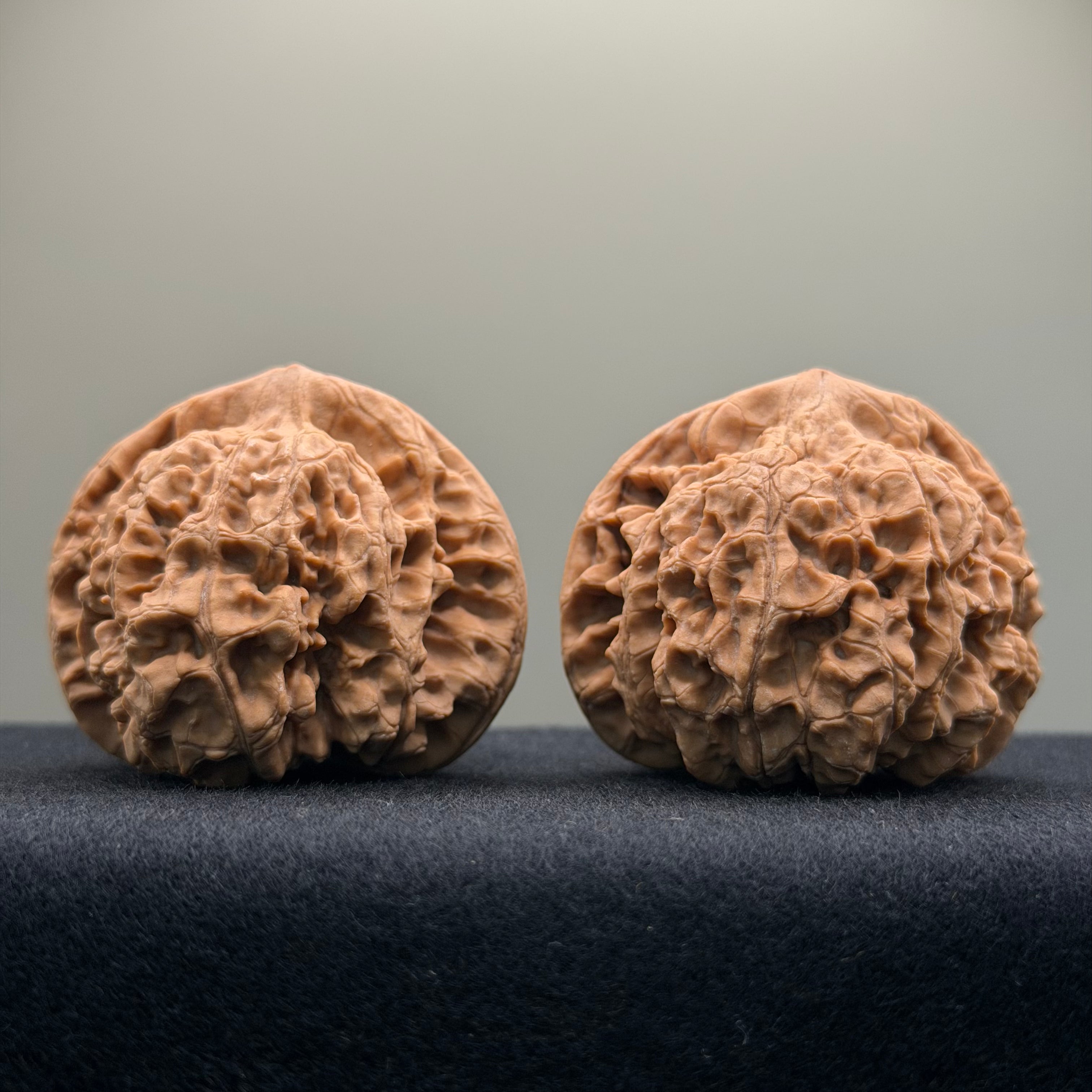 Official Hat Wenwan Walnut · 47mm · Natural · Entry Ritual